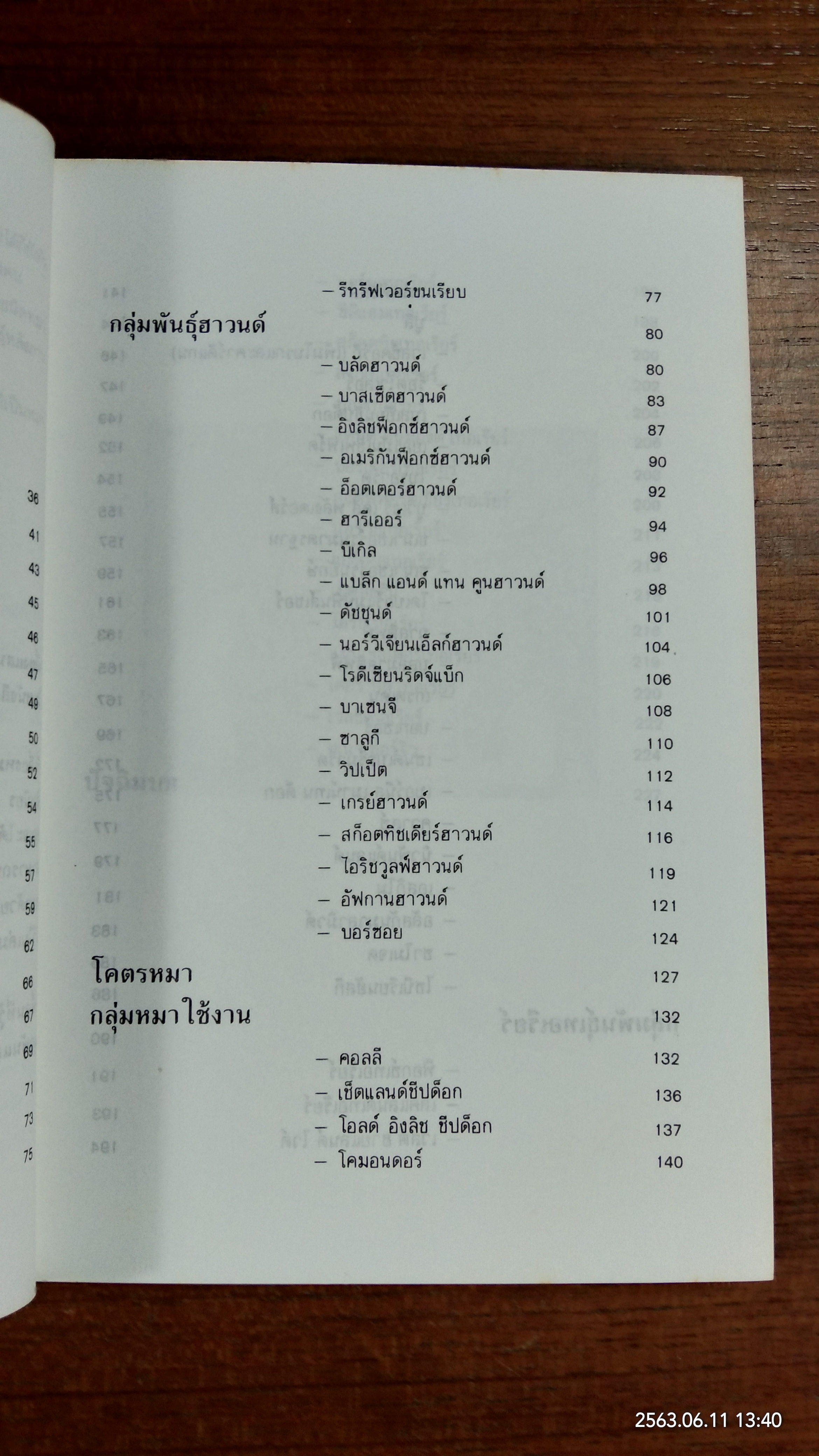 หมาสัตว์เลี้ยงแสนรัก (มีรอยขีดเขียนด้านใน) / จำเนียร เหมะรัต