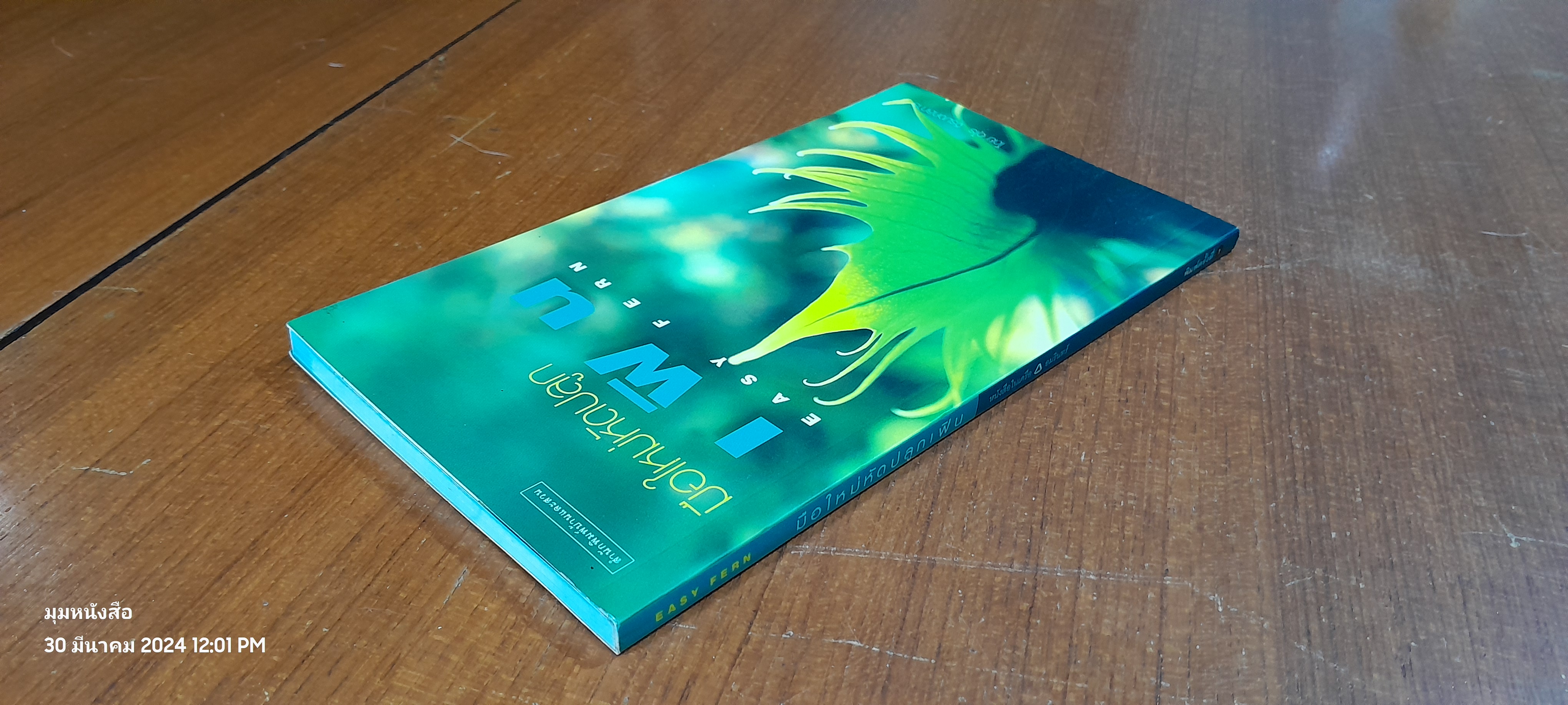 มือใหม่หัดปลูก เฟิน / อุไร จิรมงคลการ