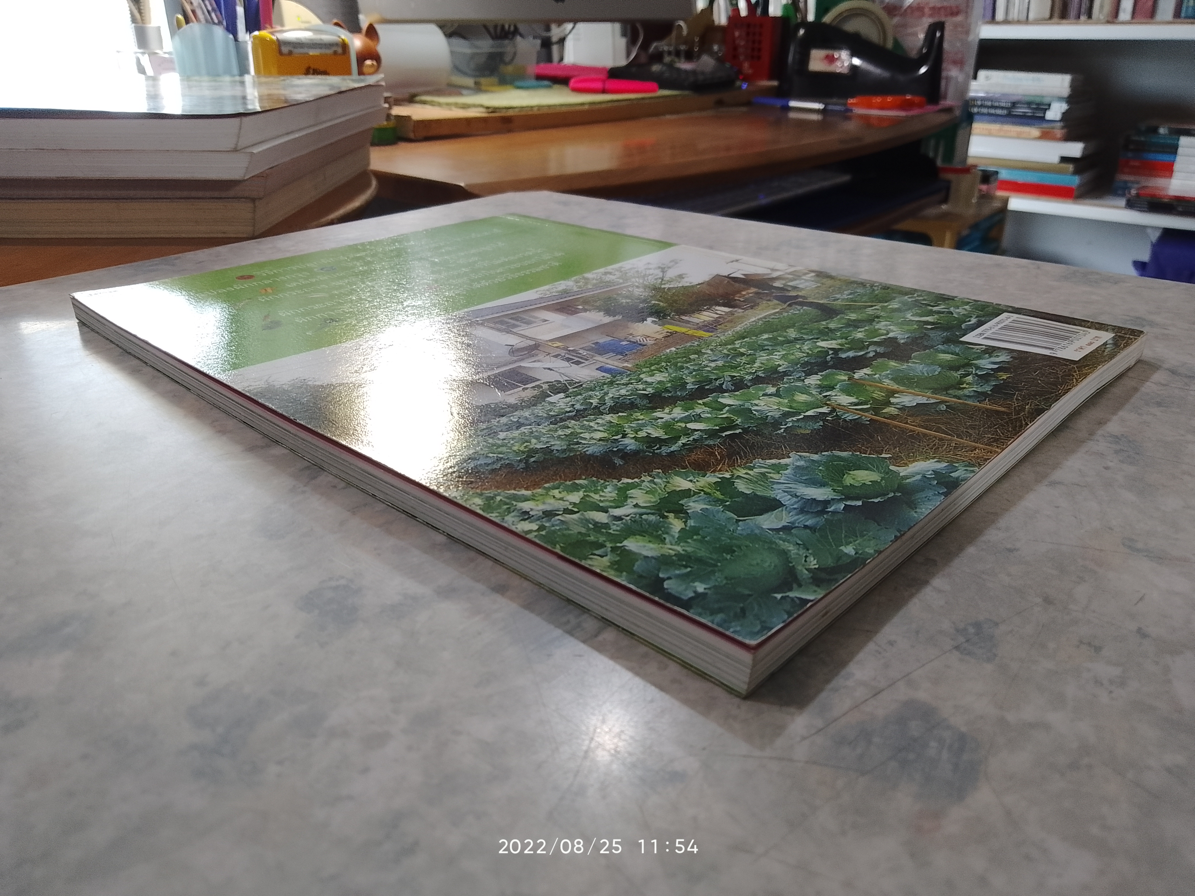 สวนผักคนเมือง สวนผักดาดฟ้า / คมสัน หุตะแพทย์