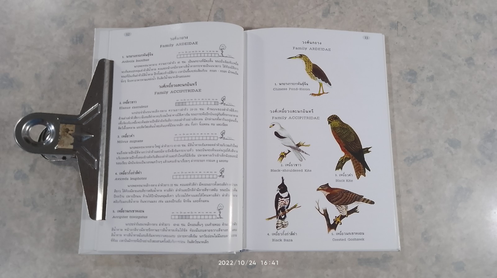 คู่มือดูนกในป่าสะแกราช / สุรชิต แวงโสธรณ์,กุลธิดา เมืองคำ