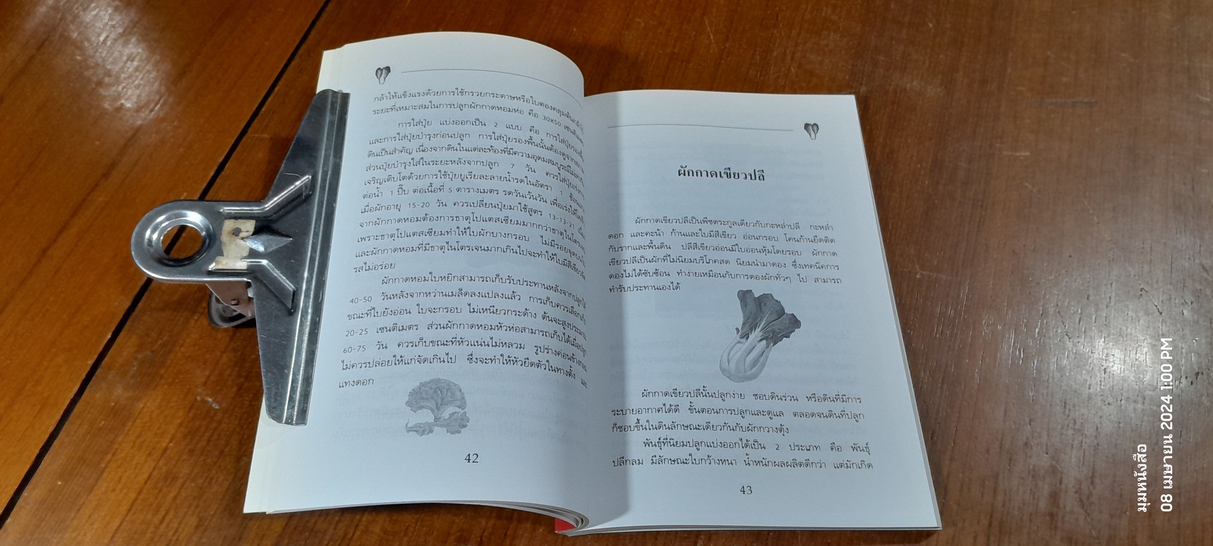 คู่มือการปลูก : ผักสวนครัว / อ.ช่อขวัญ วงศ์สุวรรณ