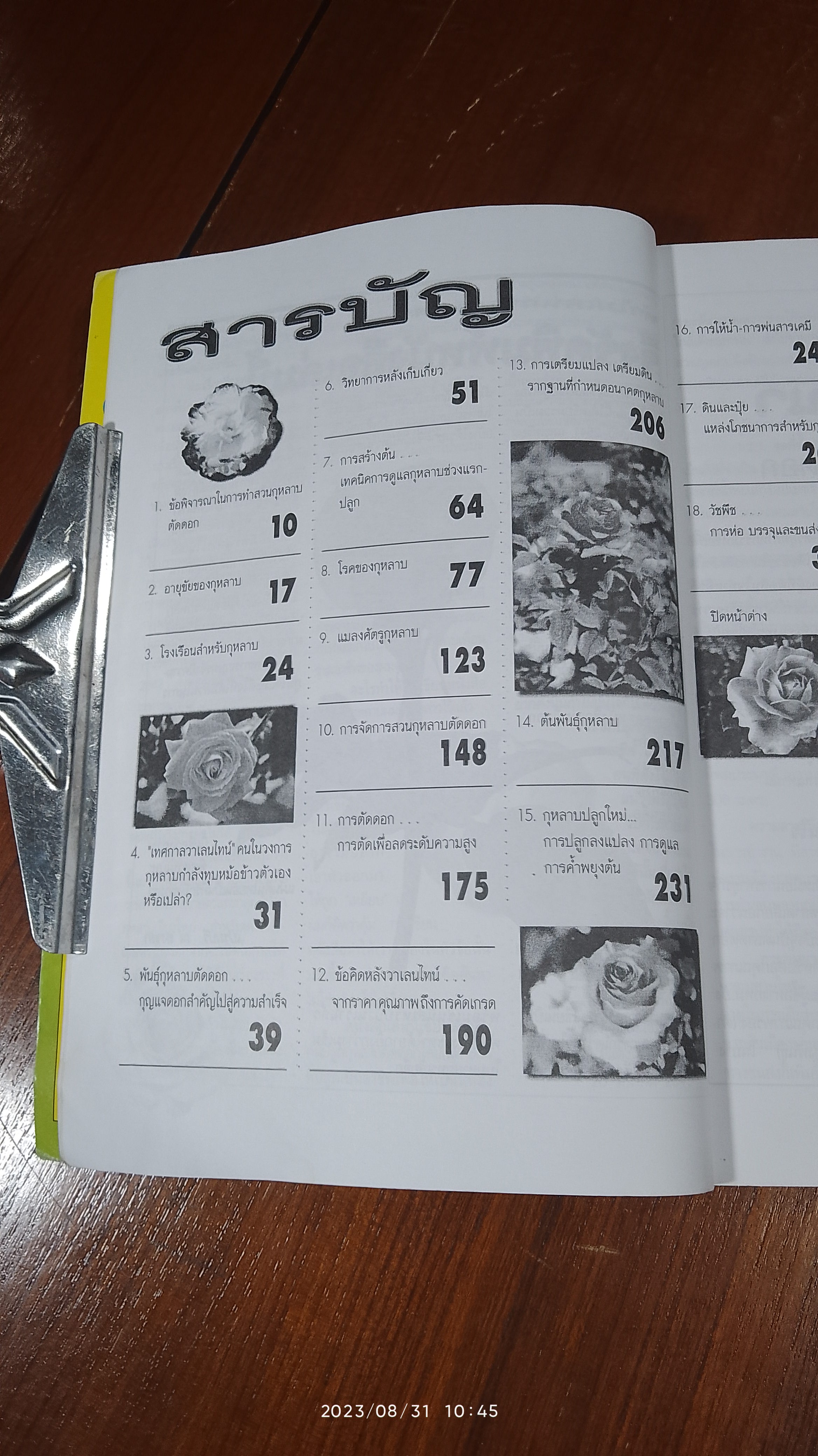 การปลูกกุหลาบยุคใหม่อย่างมืออาชีพ (มีรอยโดนน้ำ) / พจนา นาควัชระ