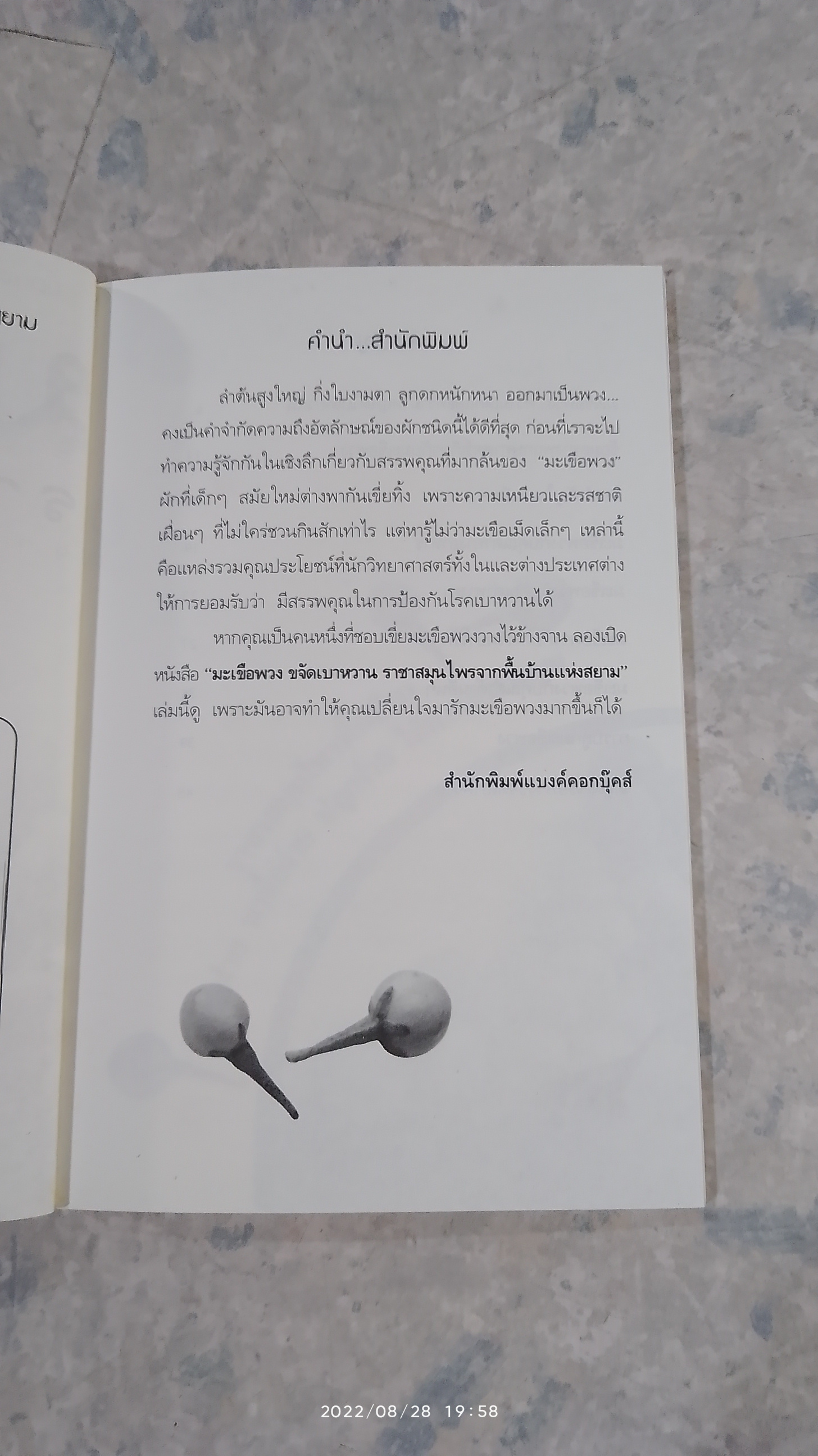 มะเขือพวง ขจัดเบาหวาน ราชาสมุนไพร จากพื้นบ้านแห่งสยาม