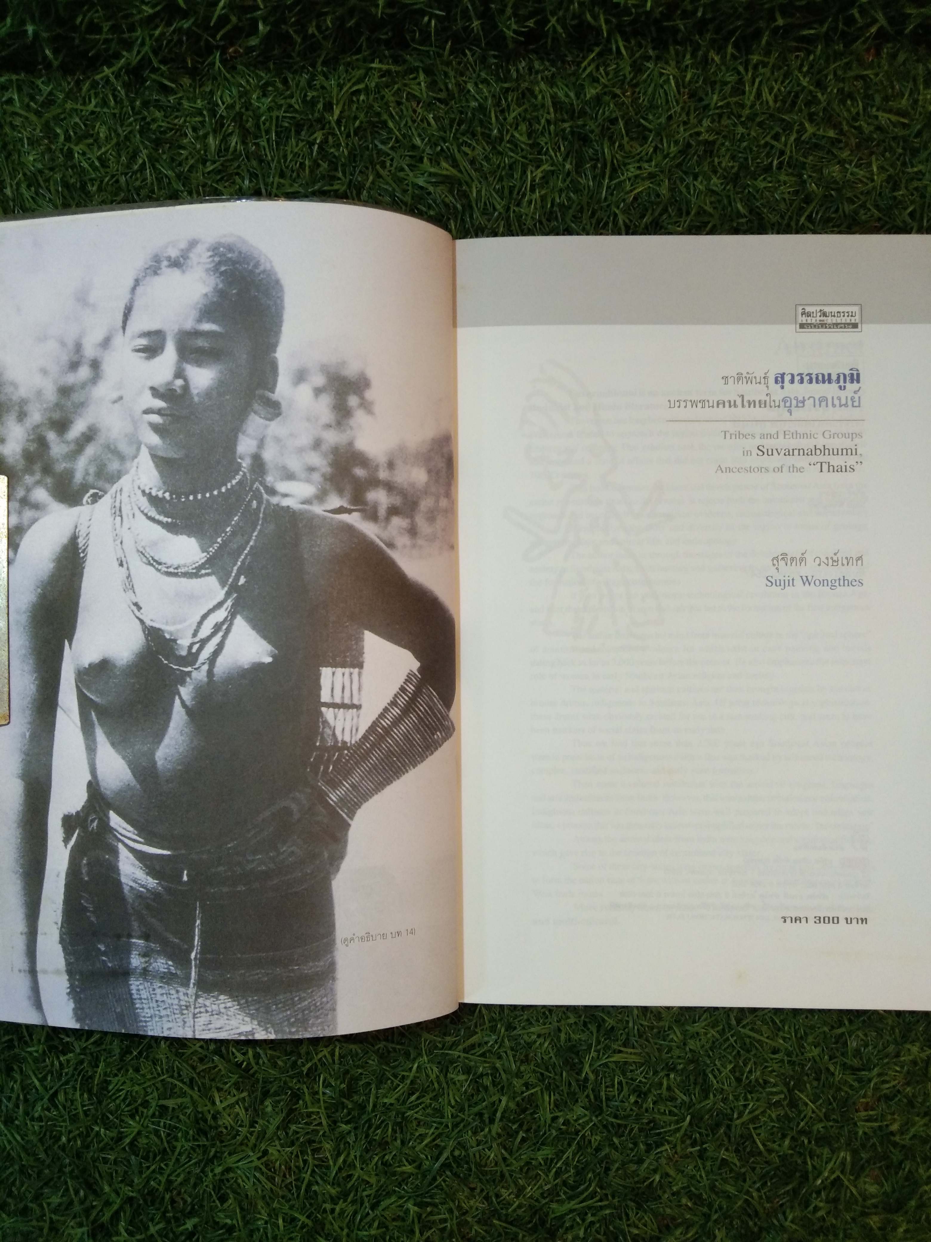 ชาติพันธุ์ สุวรรณภูมิ บรรพชนคนไทยในอุษาคเนย์ / สุจิตต์ วงษ์เทศ