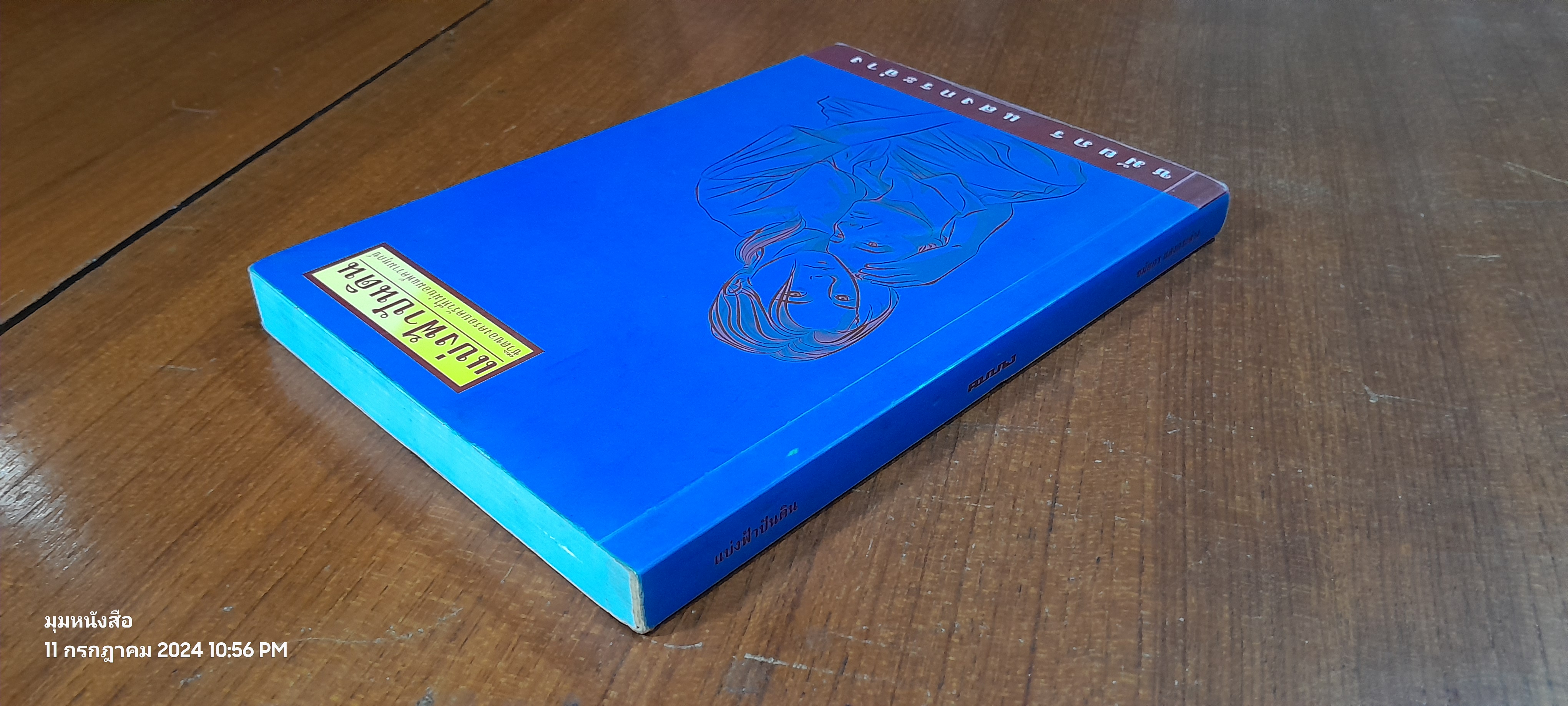 แบ่งฟ้าปันดิน / ชมัยภร แสงกระจ่าง