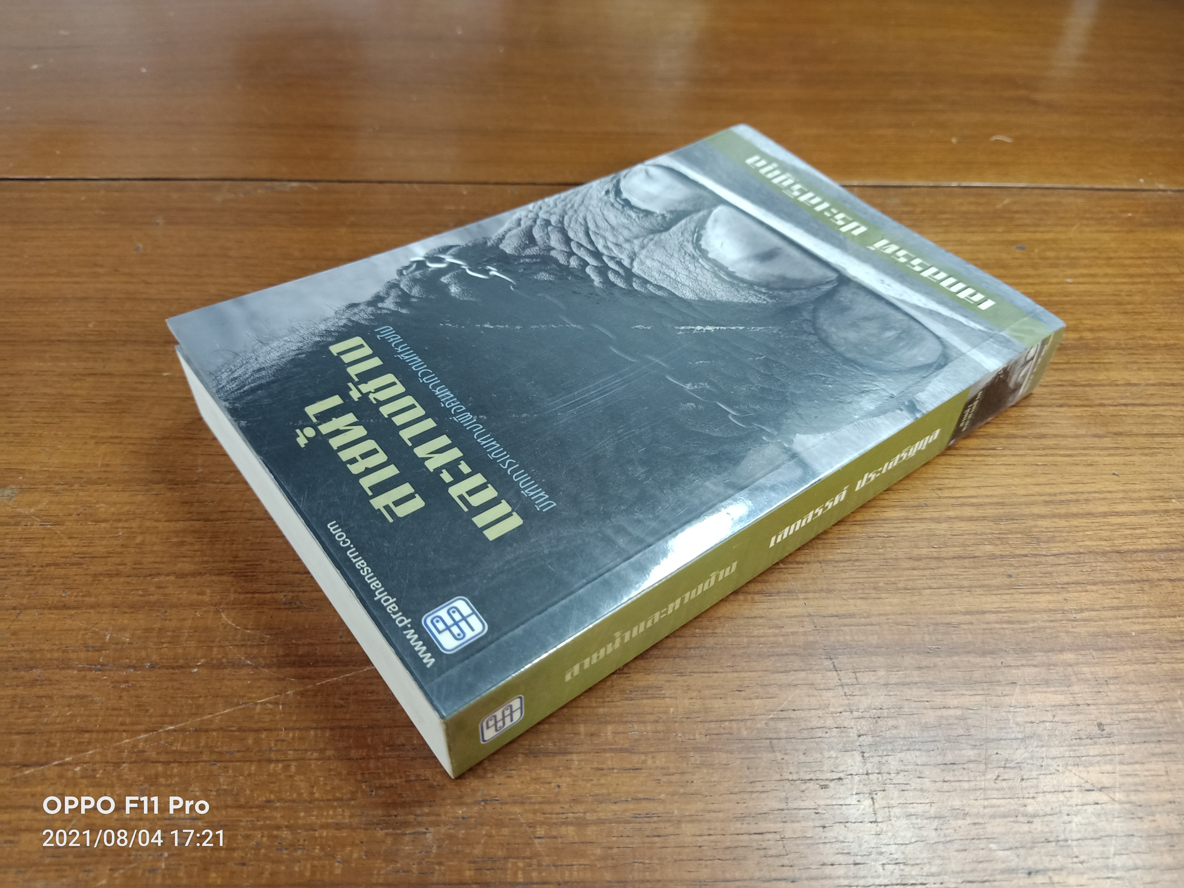 สายน้ำและทางช้าง / เสกสรรค์ ประเสริฐกุล