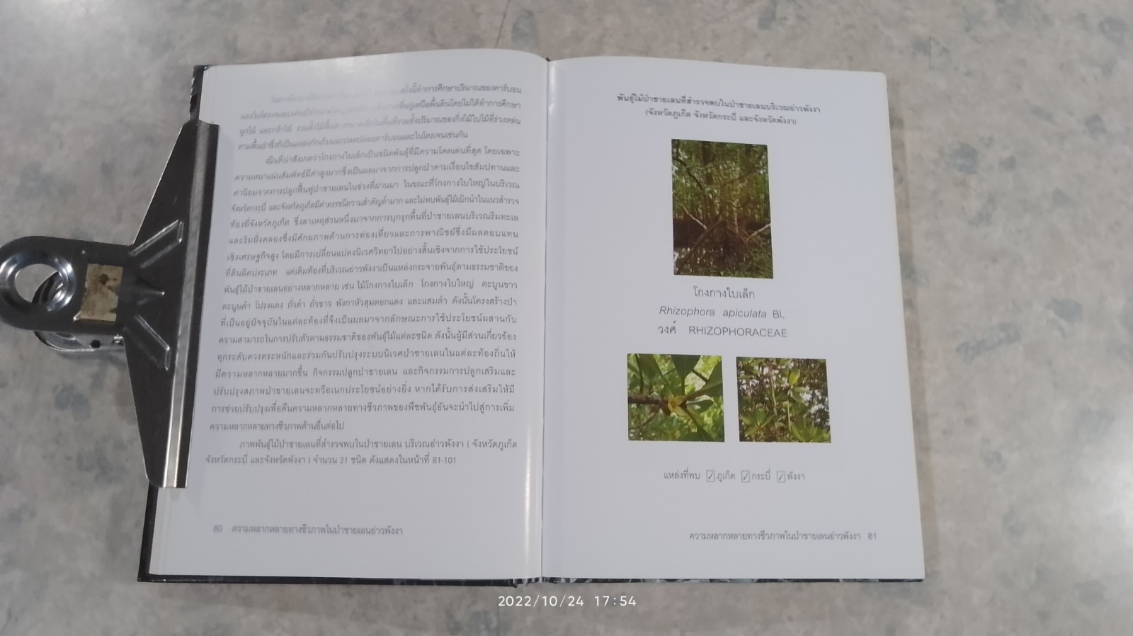 ความหลากหลายทางชีวภาพในป่าชายเลน อ่าวพังงา