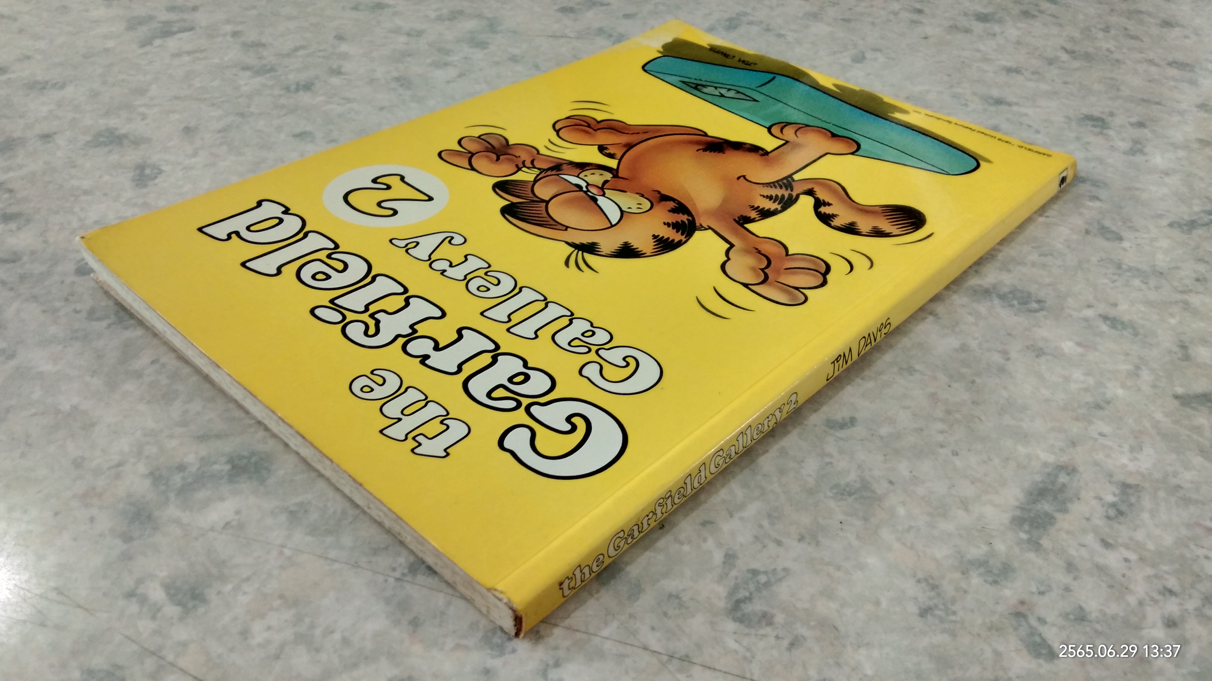 the Garfield Gallery 2 / JiM DAViS