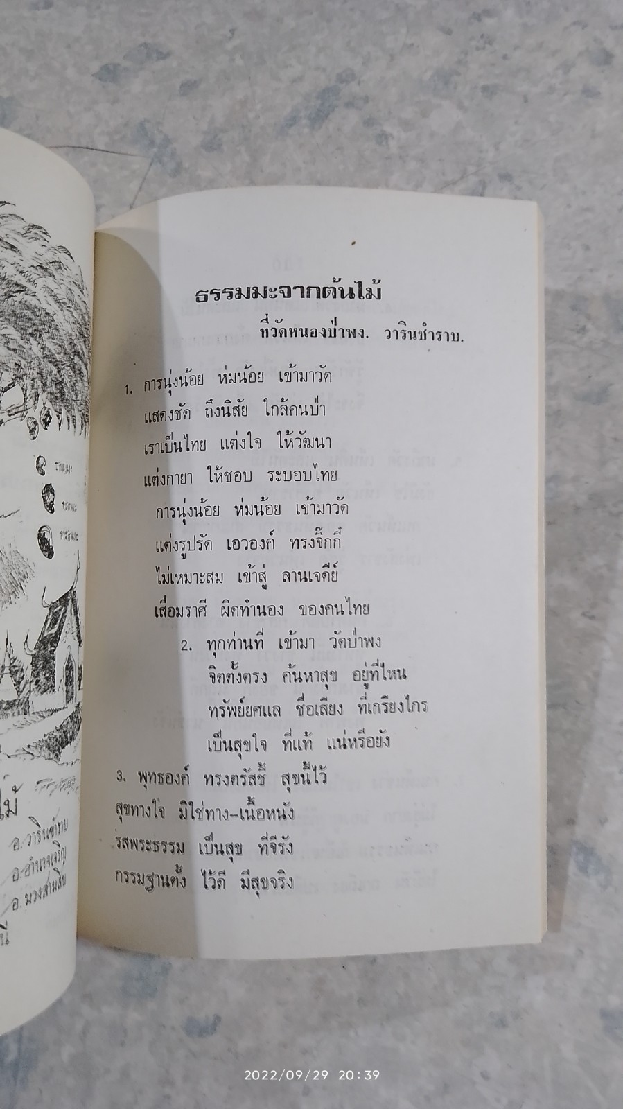 ธรรมะจากต้นไม้ / เขมจิตฺต ภิกขุ