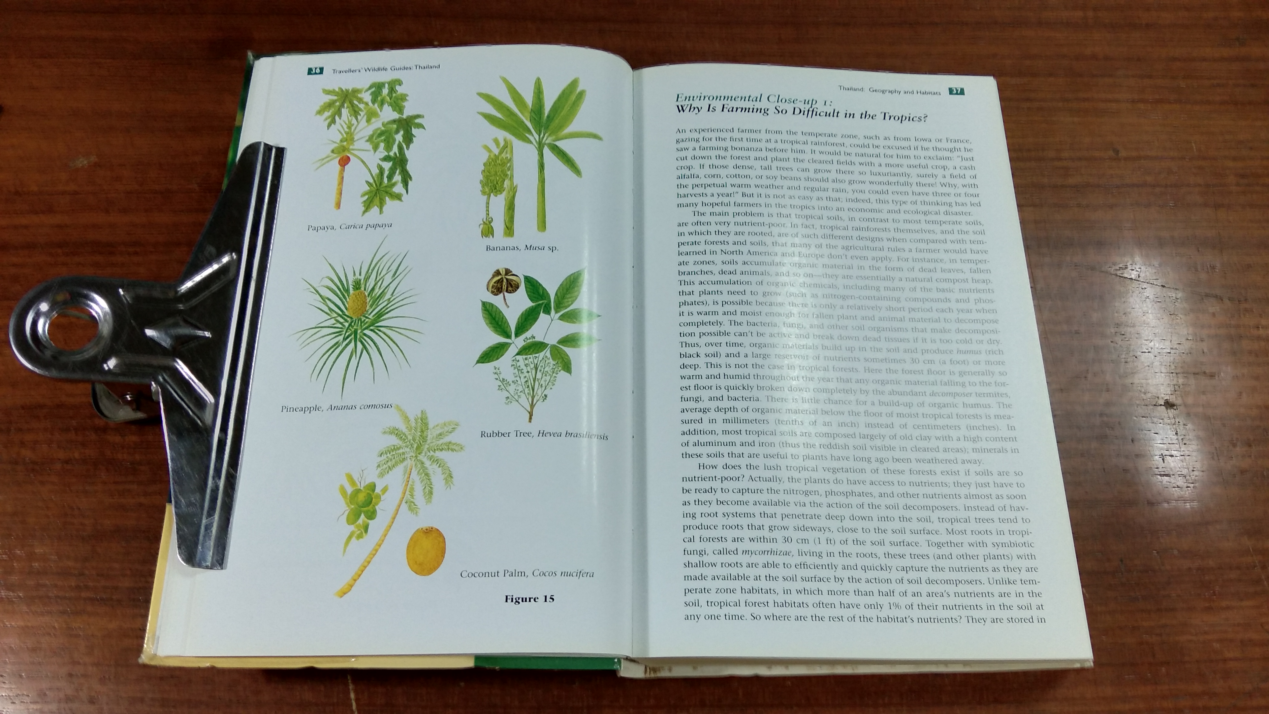 TRAVELLERS' WILDLIFE GUIDES THAILAND / DAVID L. PEARSON