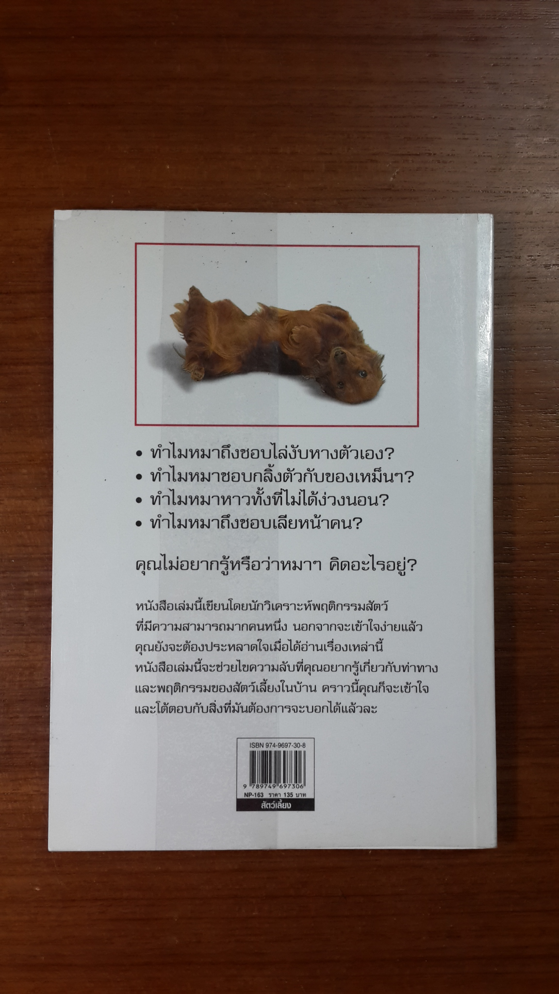 รู้ไหมหมาคิดอะไรอยู่? / เกวย เบลีย์