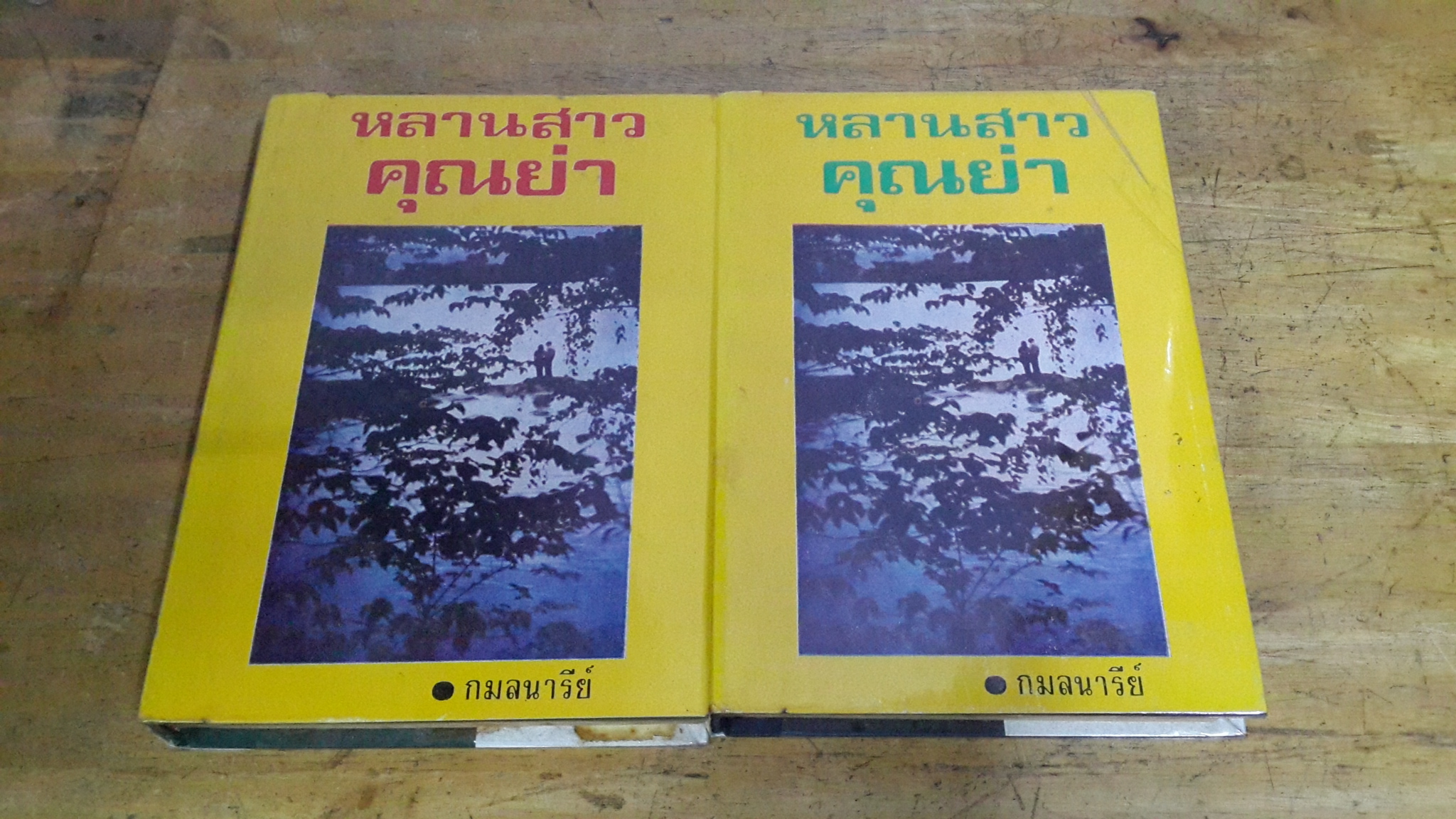 หลานสาวคุณย่า (2เล่มจบ) / กมลนารีย์