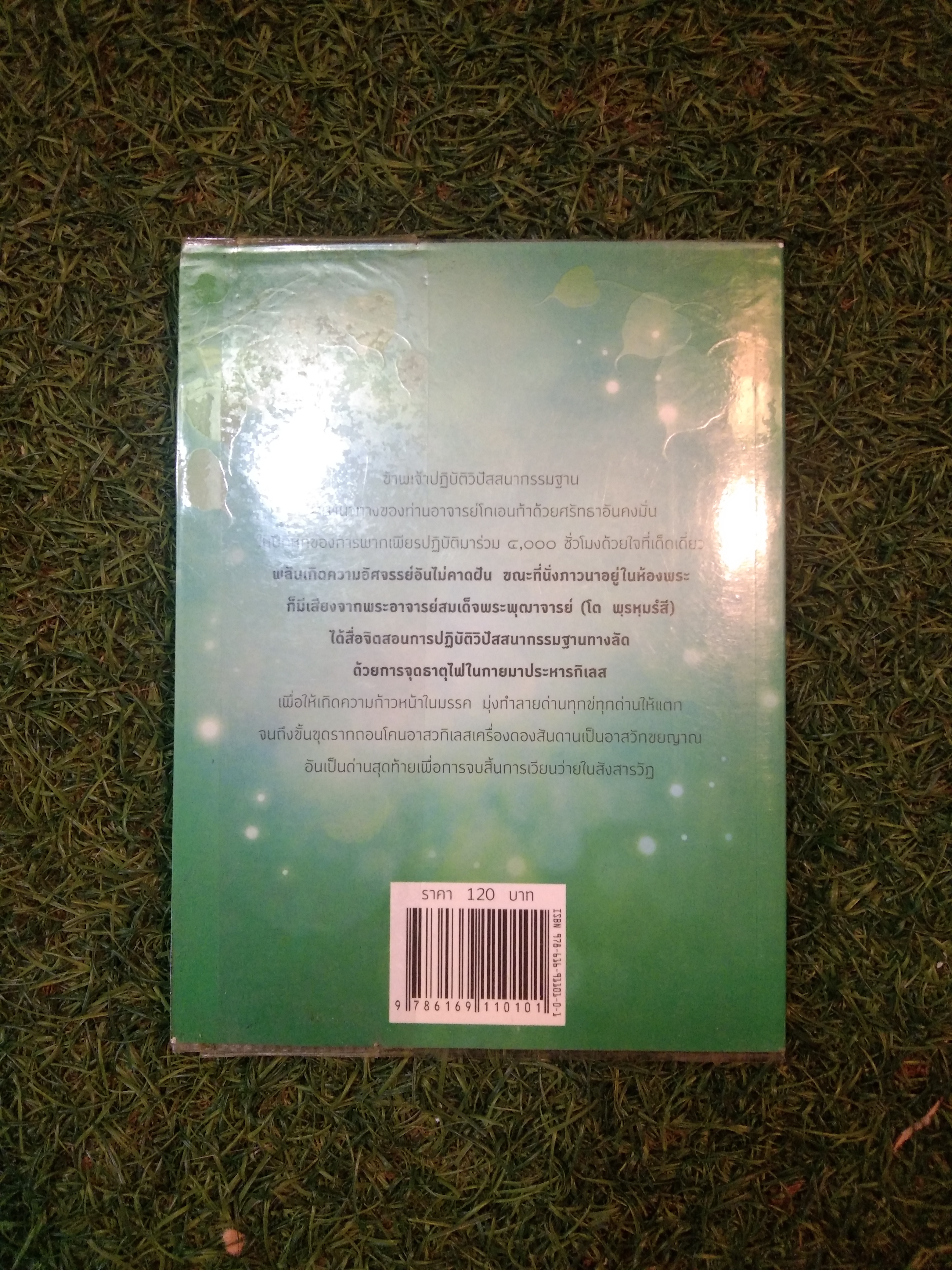 รู้ แล้ว ลุย พากเพียรชำระจิตให้บริสุทธิ์ / อัจฉราวดี วงศ์สกล