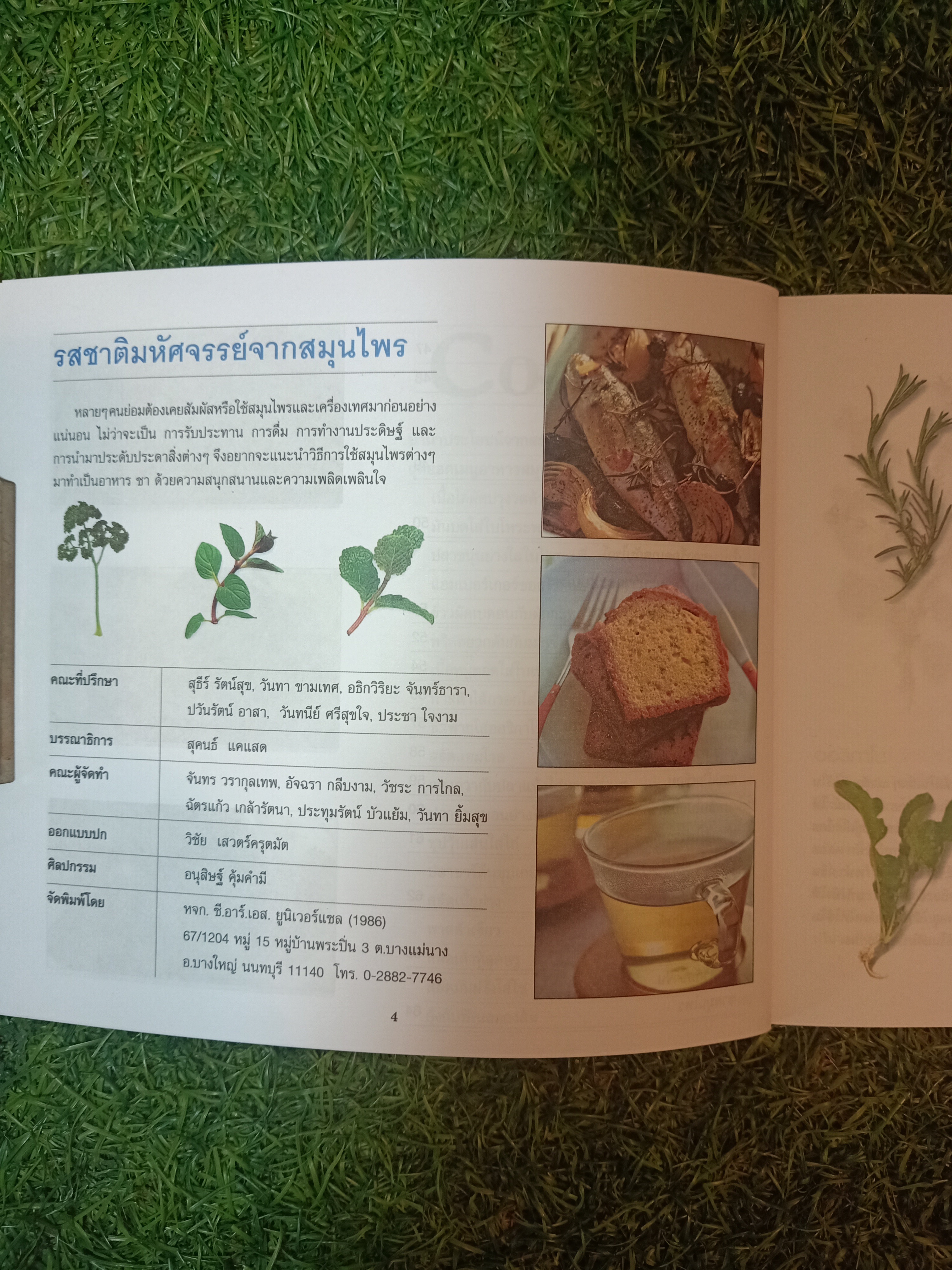 ทำกินได้ทำขายรวย หลากหลายเมนูสมุนไพร เพื่อสุขภาพ / เพชรกะรัต