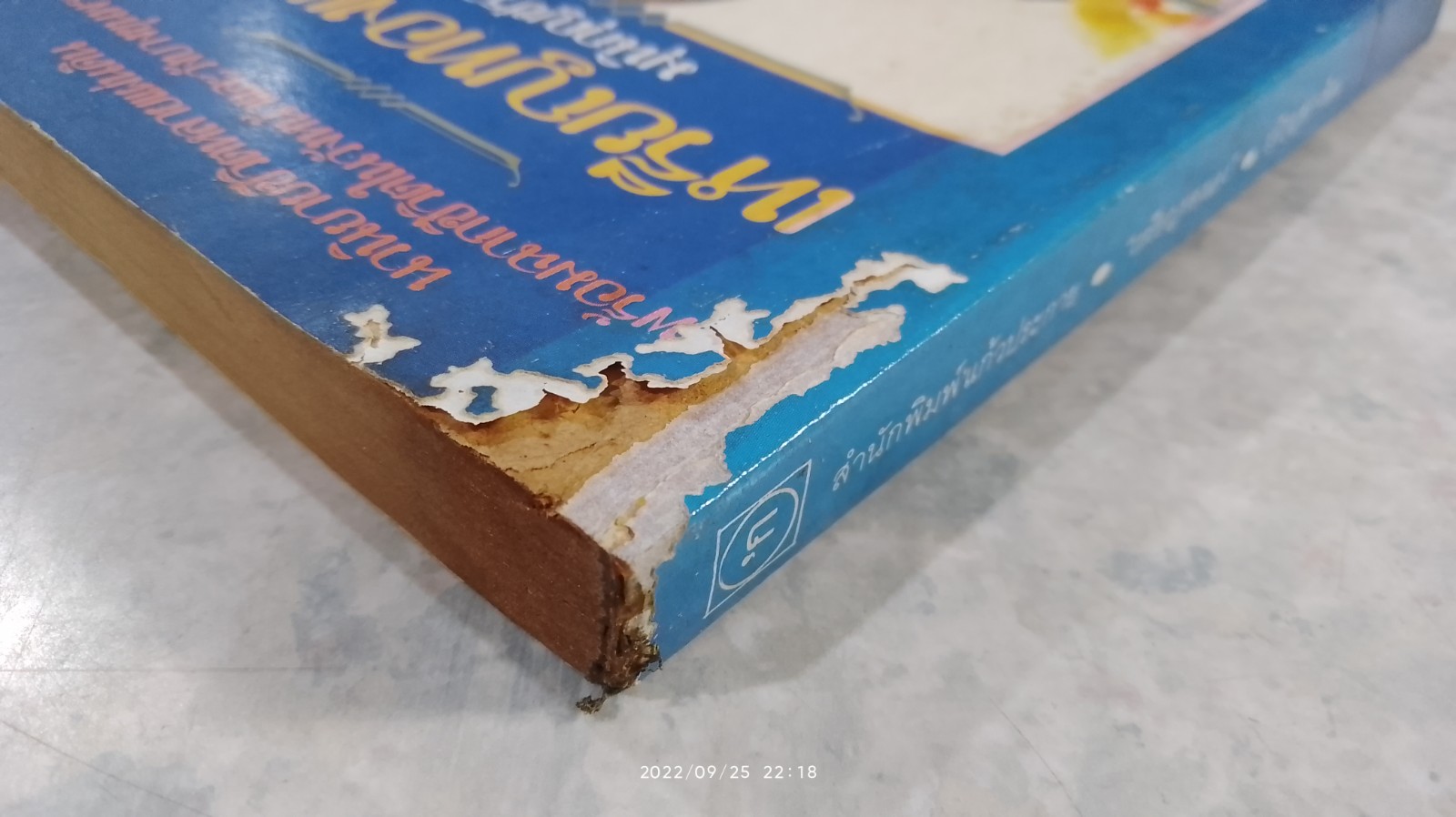 เหรียญทองแดง (สภาพไม่สมบูรณ์) / มุนิกุญชรา