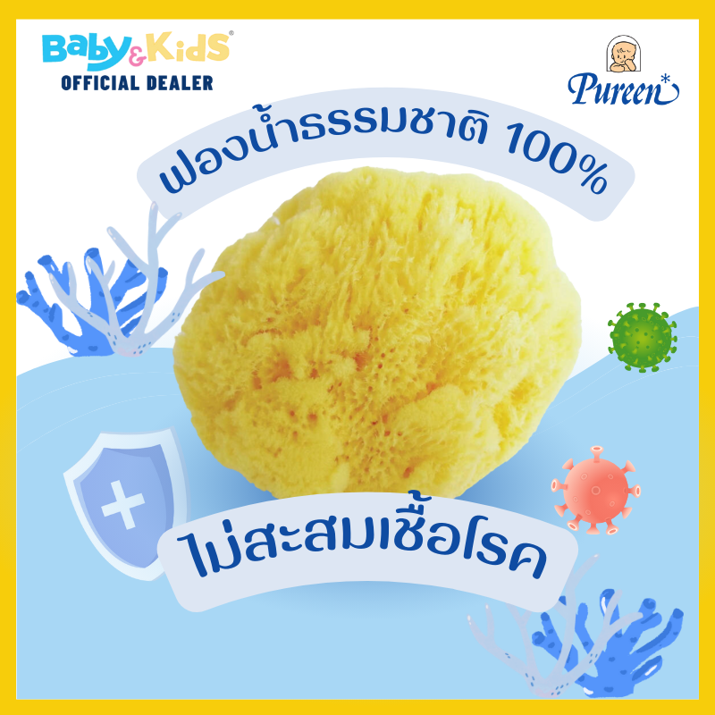 Pureen ฟองน้ำธรรมชาติอาบเด็ก ฟองน้ำธรรมชาติแท้ 100% size. L