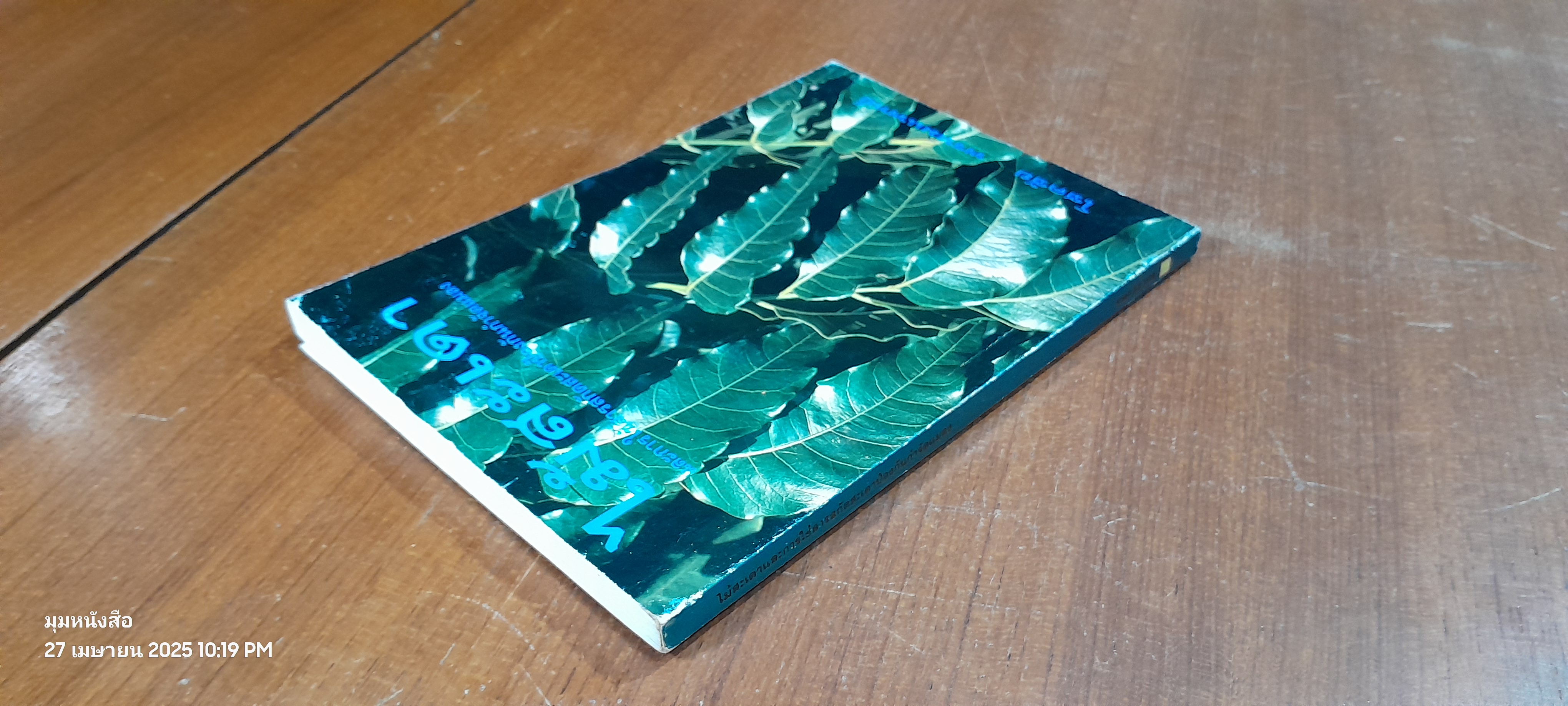 ไม้สะเดา / โชคชัย พรหมแพทย์ (มีรอยโดนน้ำ)