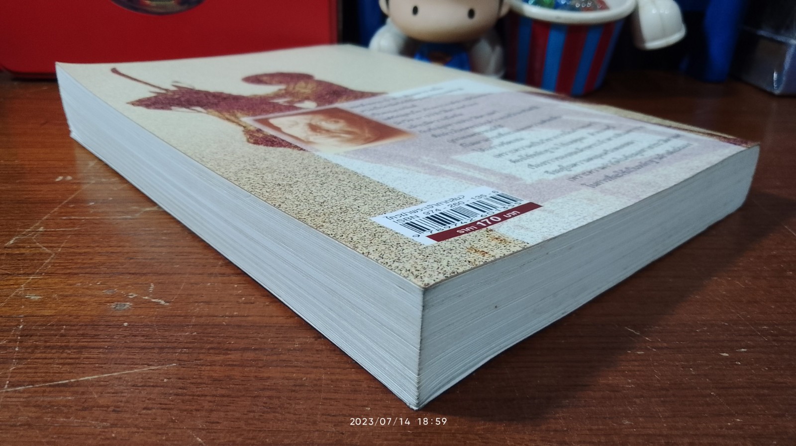 ใครฆ่าพระเจ้าตากสิน? / ภิกษุณีวรมัย กบิลสิงห์