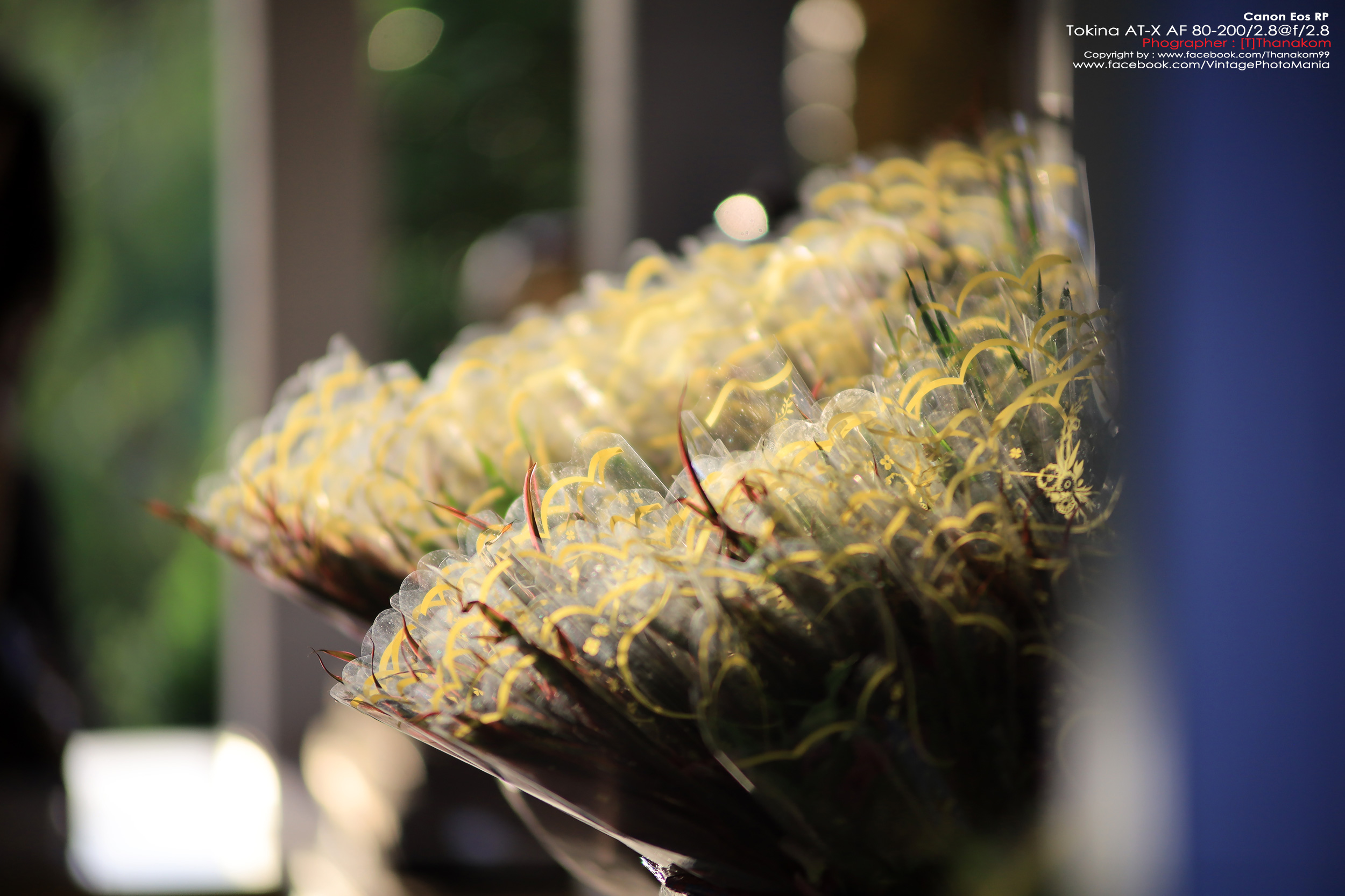 Tokina AT-X SD AF 80-200/2.8 *Nikon AF-D Mount เลนส์ซูมระดับโปรเอฟกว้างละลายหลังสวย