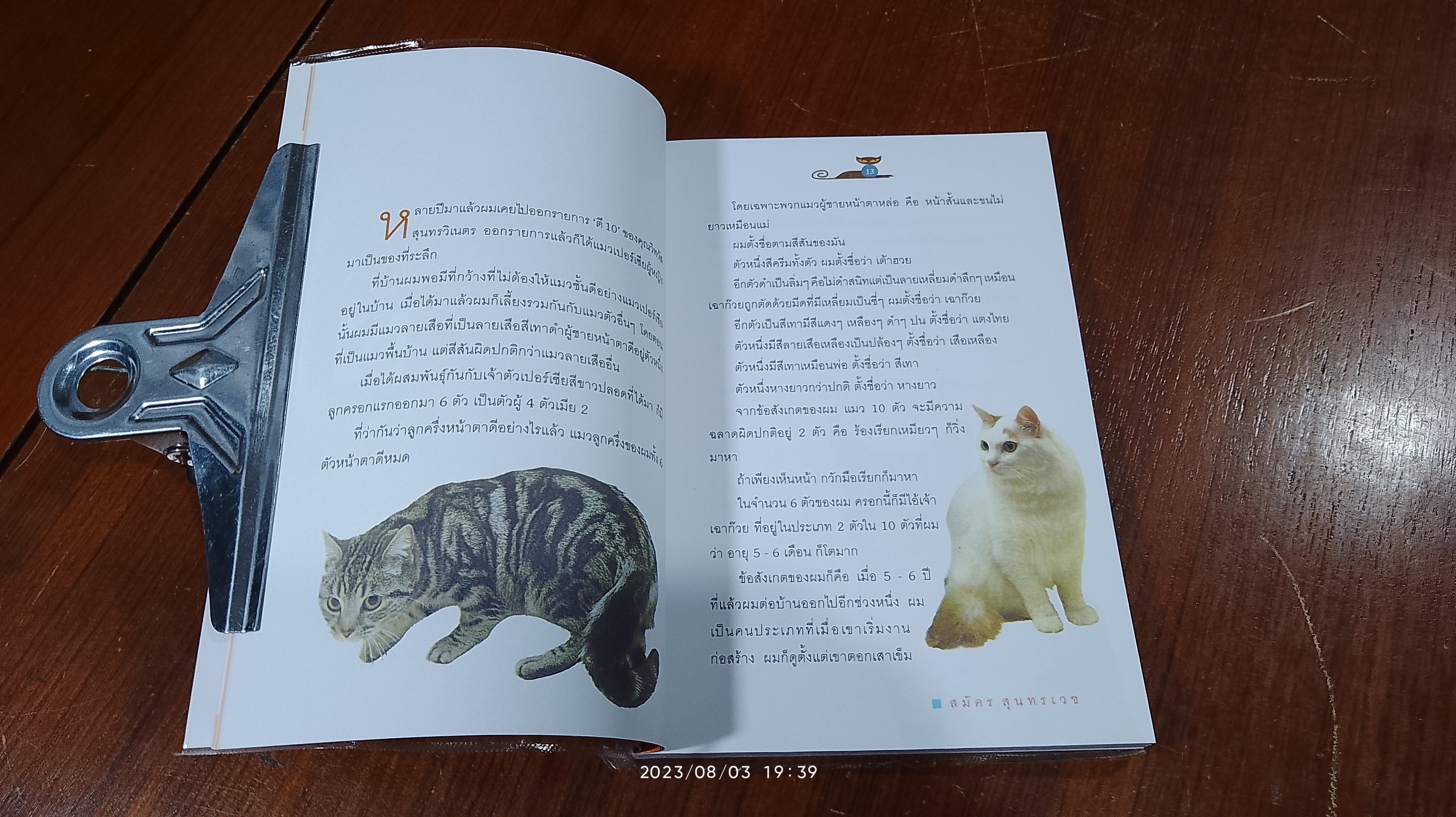 คนรักแมว / สมัคร สุนทรเวช