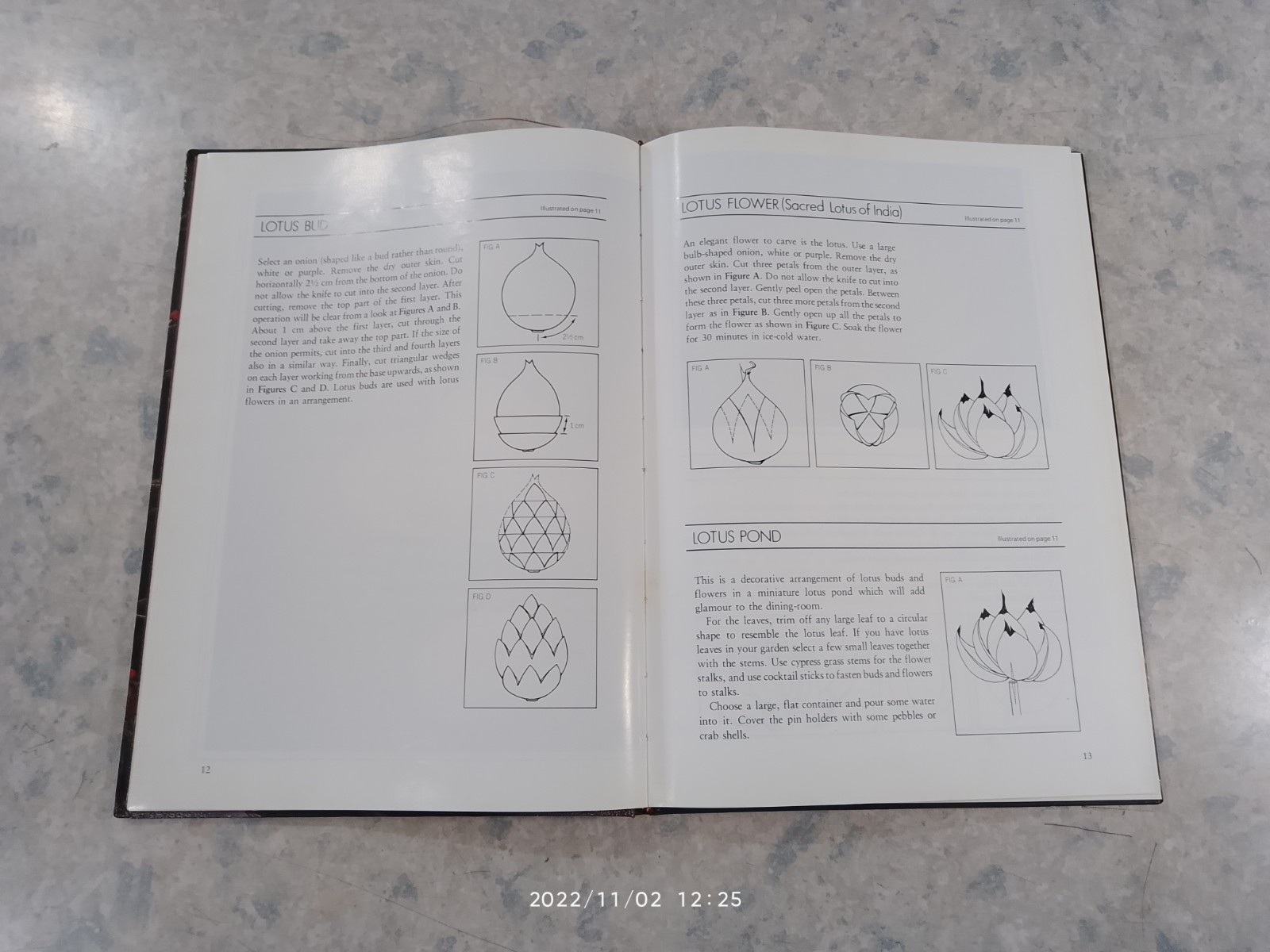Fruit and Vegetable Caruing / Meera John Jacob