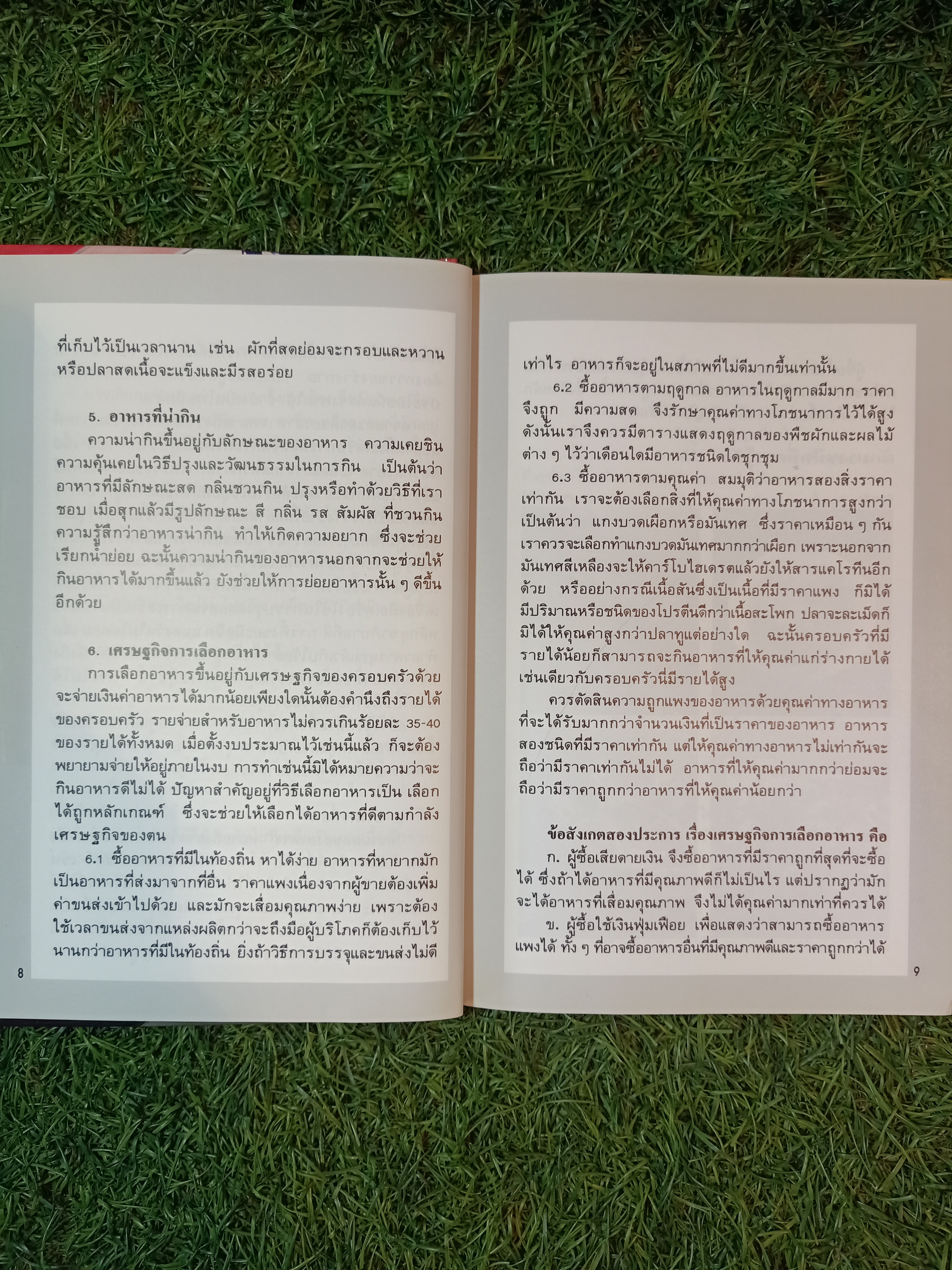 ชุดอาหารจีน อาหารจีนอย่างง่าย / แสงแดด