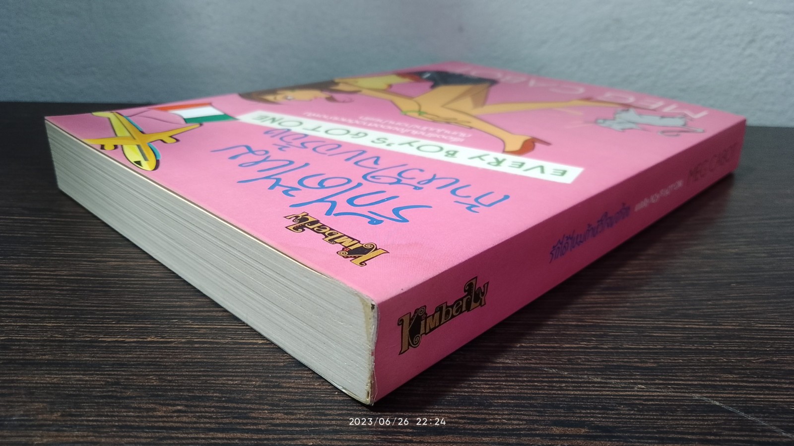 รักได้ไหมถ้าหัวใจขอร้อง / MEG CABOT