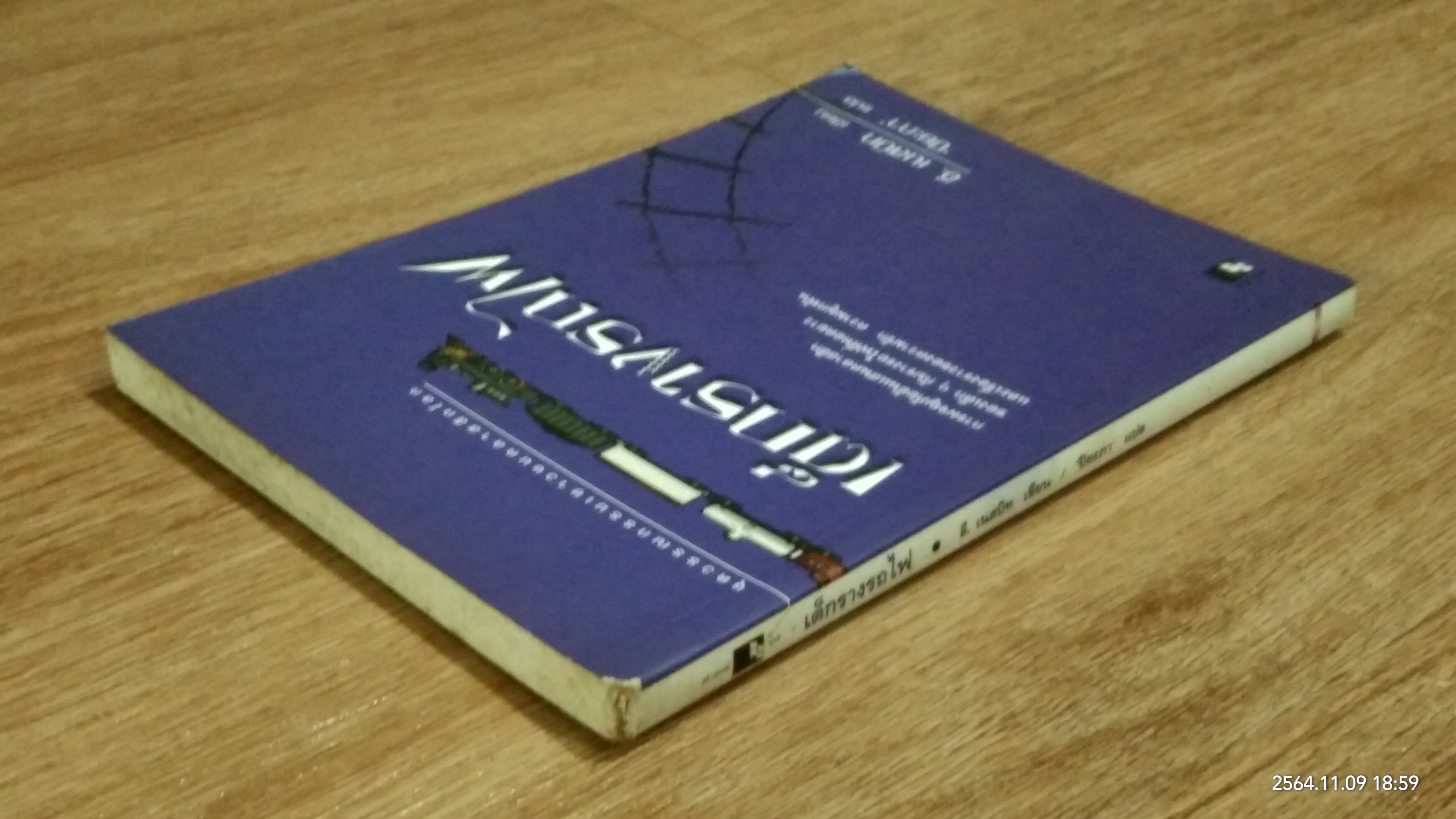 เด็กรางรถไฟ / อี. เนสบิท