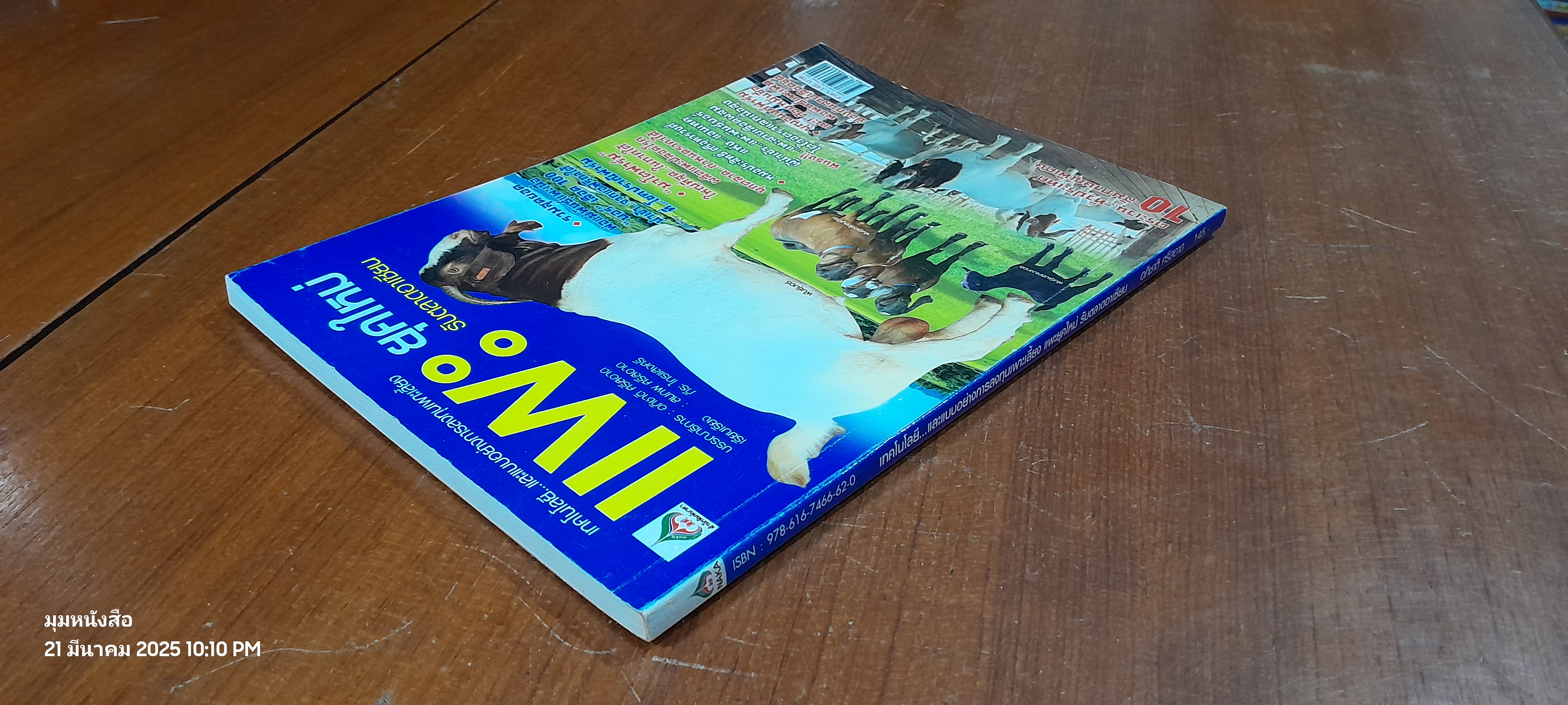 เทคโนโลยี..และแบบอย่างการลงทุนเพาะเลี้ยง แพะยุคใหม่ รับตลาดอาเซียน / อภิชาติ ศรีสอาด