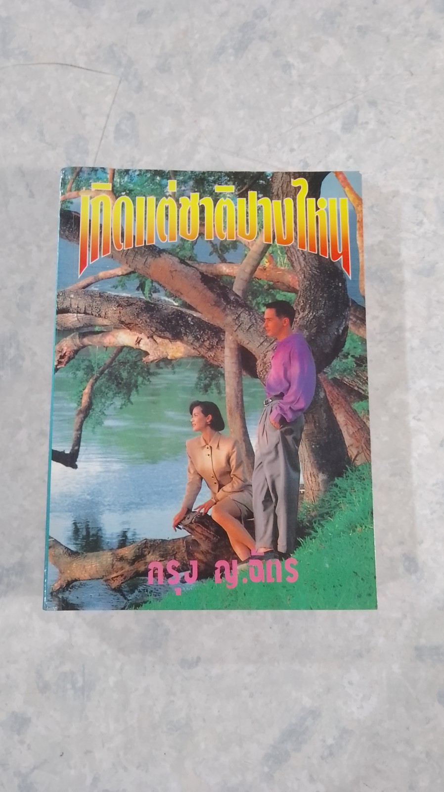 เกิดแต่ชาติปางไหน (2เล่มจบ) / กรุง ญ.ฉัตร