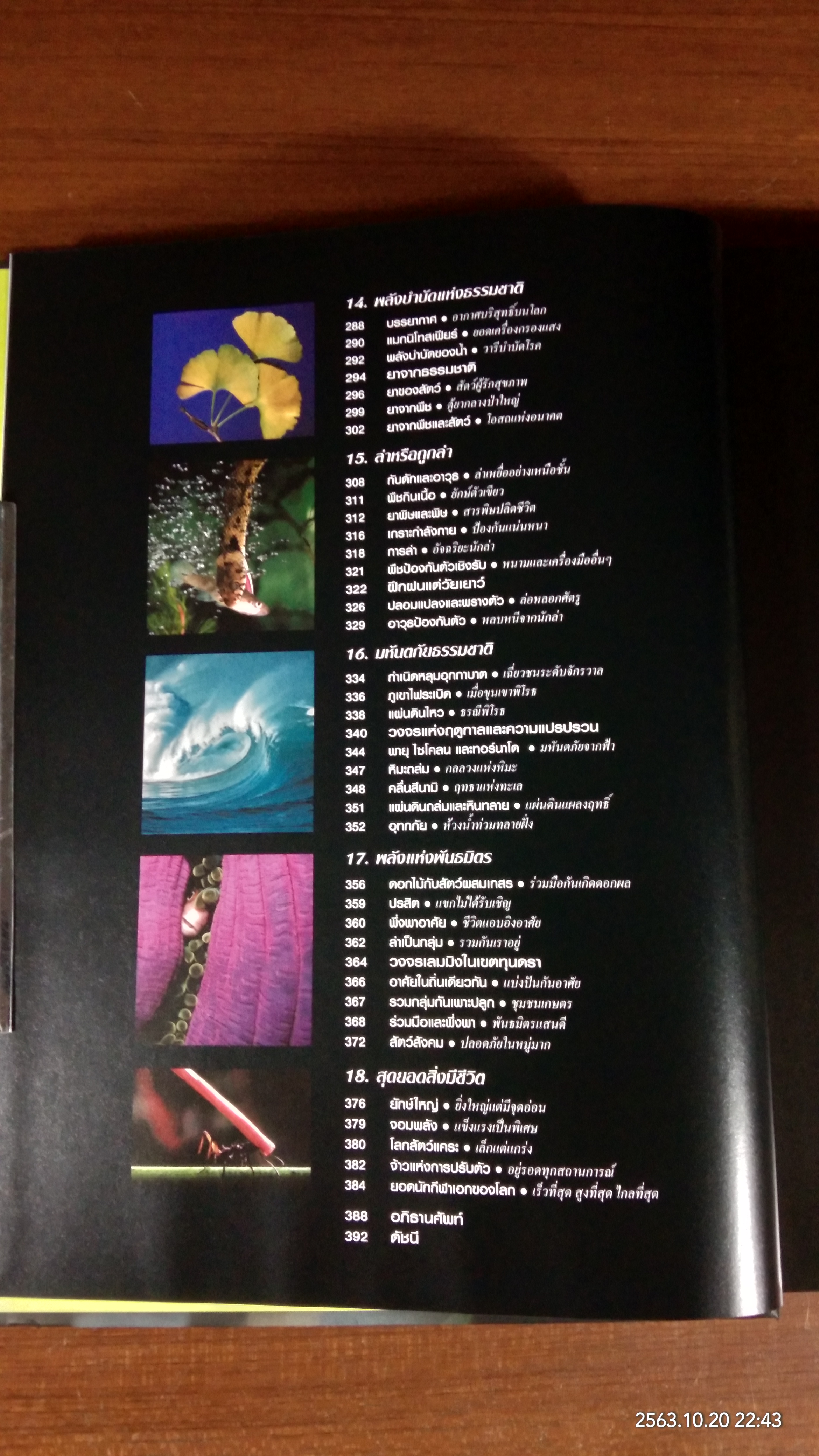 โลกลี้ลับธรรมชาติน่าทึ่ง / รีดเดอร์ส ไดเจสท์