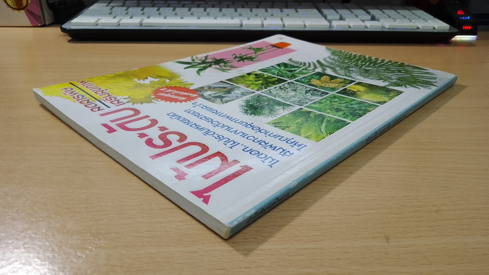 ไม้ประดับ ลดสารพิษ เสริมสุขภาพ