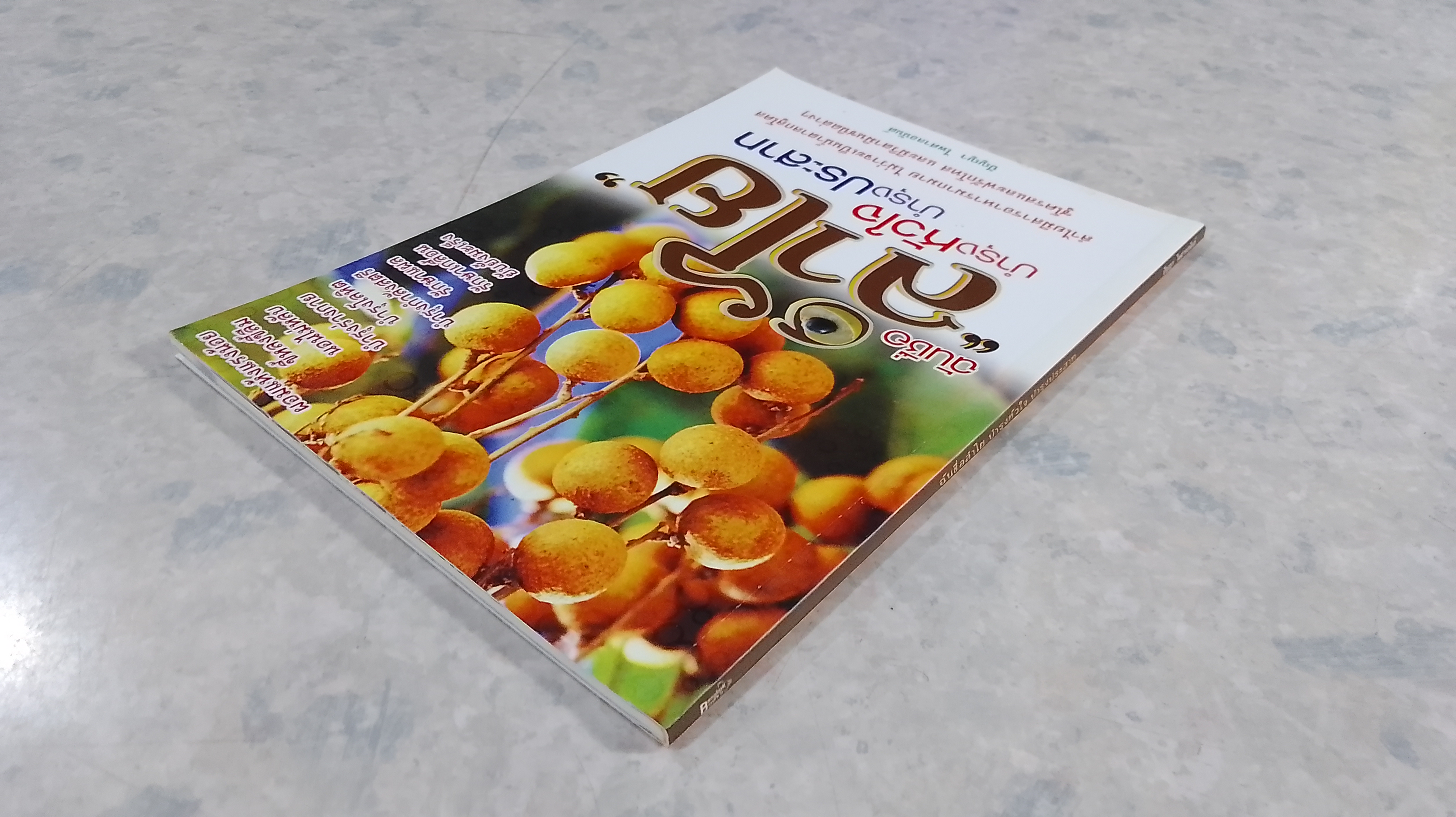 ฉันชื่อลำใย บำรุงหัวใจ บำรุงประสาท / ปัญญา ไพศาลอนันต์