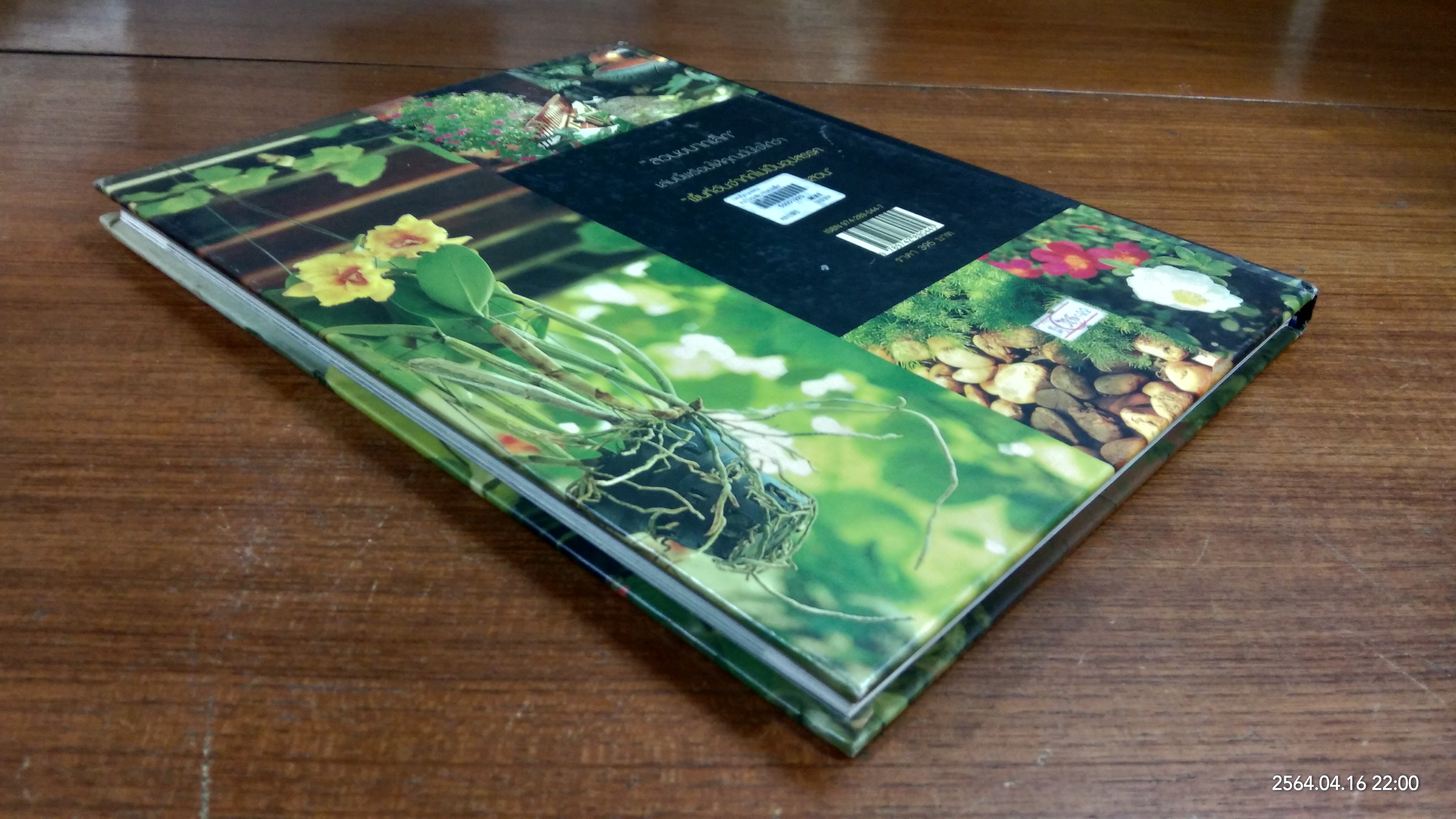 สวนในบ้าน เล่ม 12 สวนขนาดเล็ก