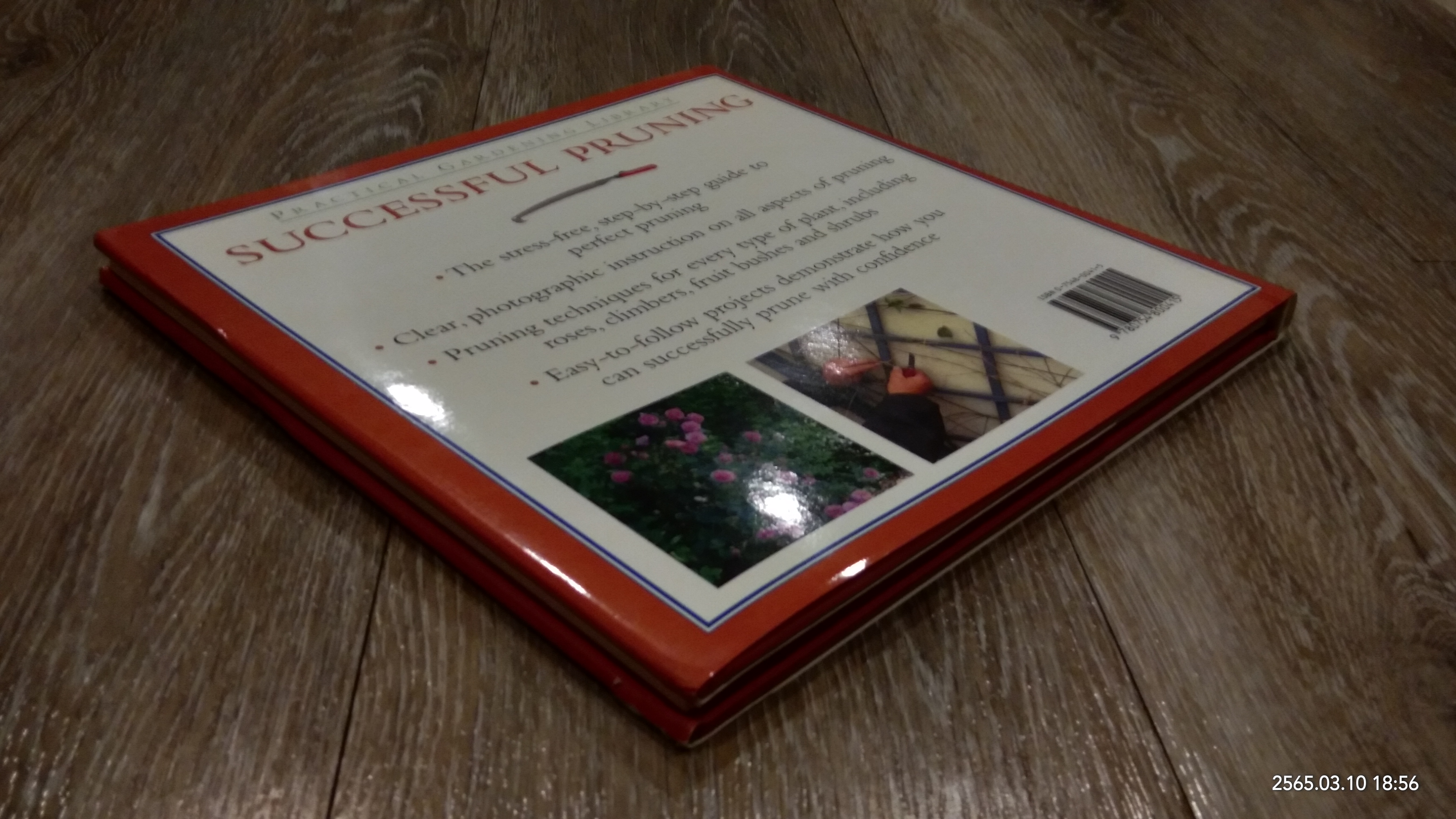 SUCCESSFUL PRUNING / PETER MCHOY