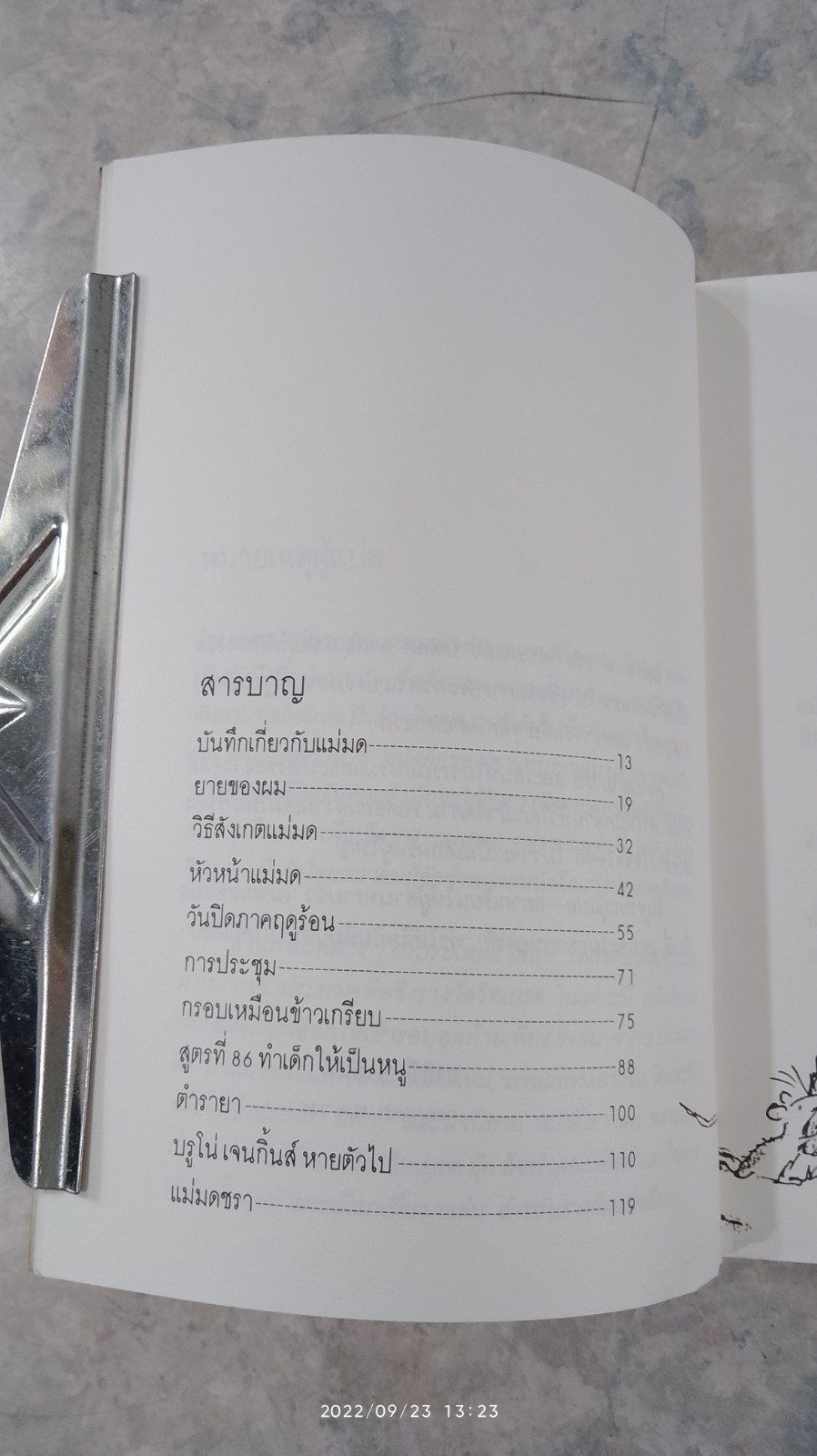 แม่มด / โรอัลด์ ดาห์ล