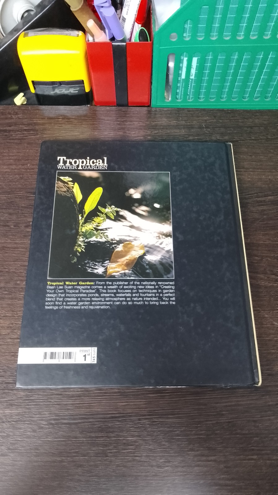 Tropical Water Garden