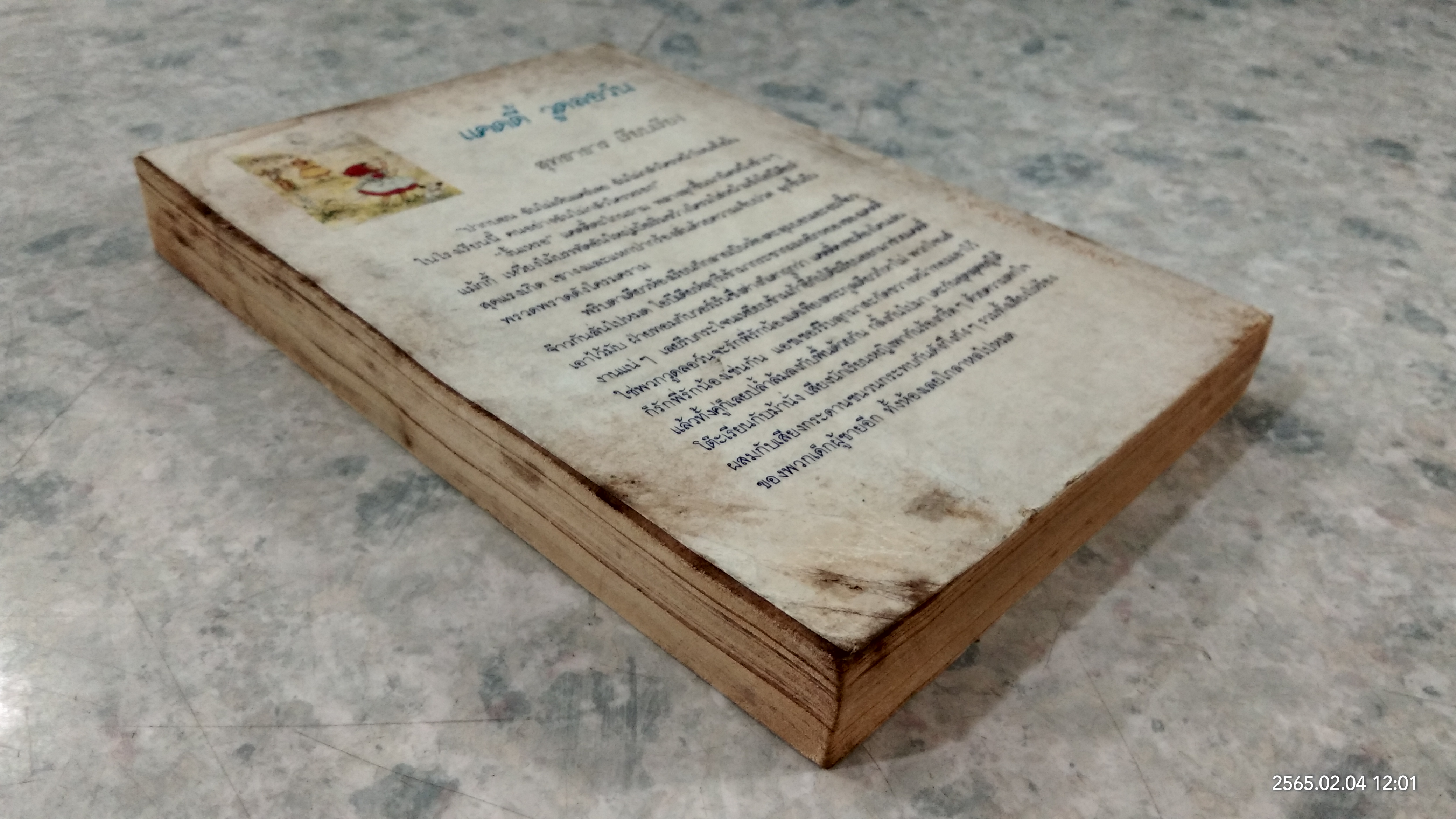 แคดดี้ วูดลอว์น / สุทธาธาร