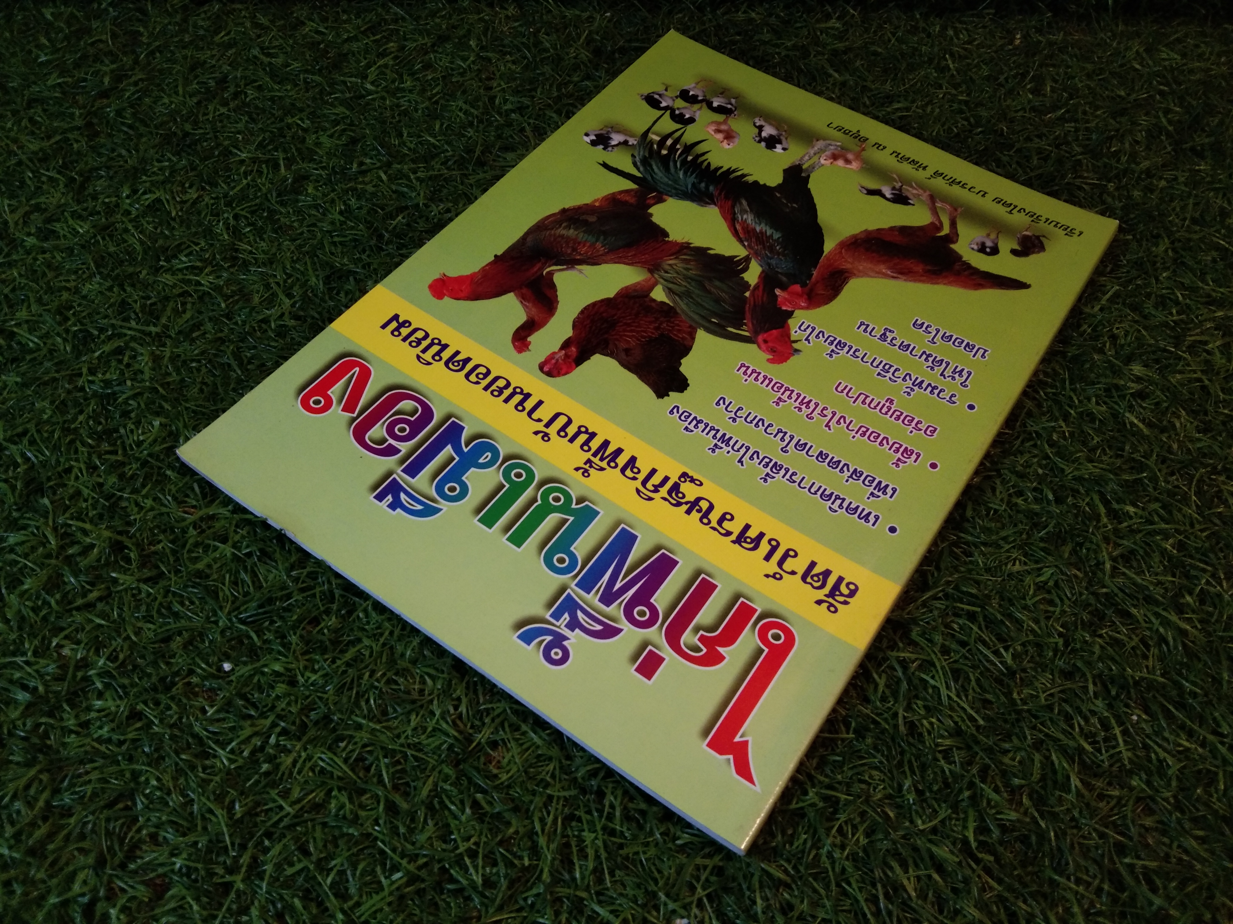 ไก่พื้นเมือง สัตว์เศรษฐกิจพื้นบ้านยอดนิยม / บวรศักดิ์ หัสดิน