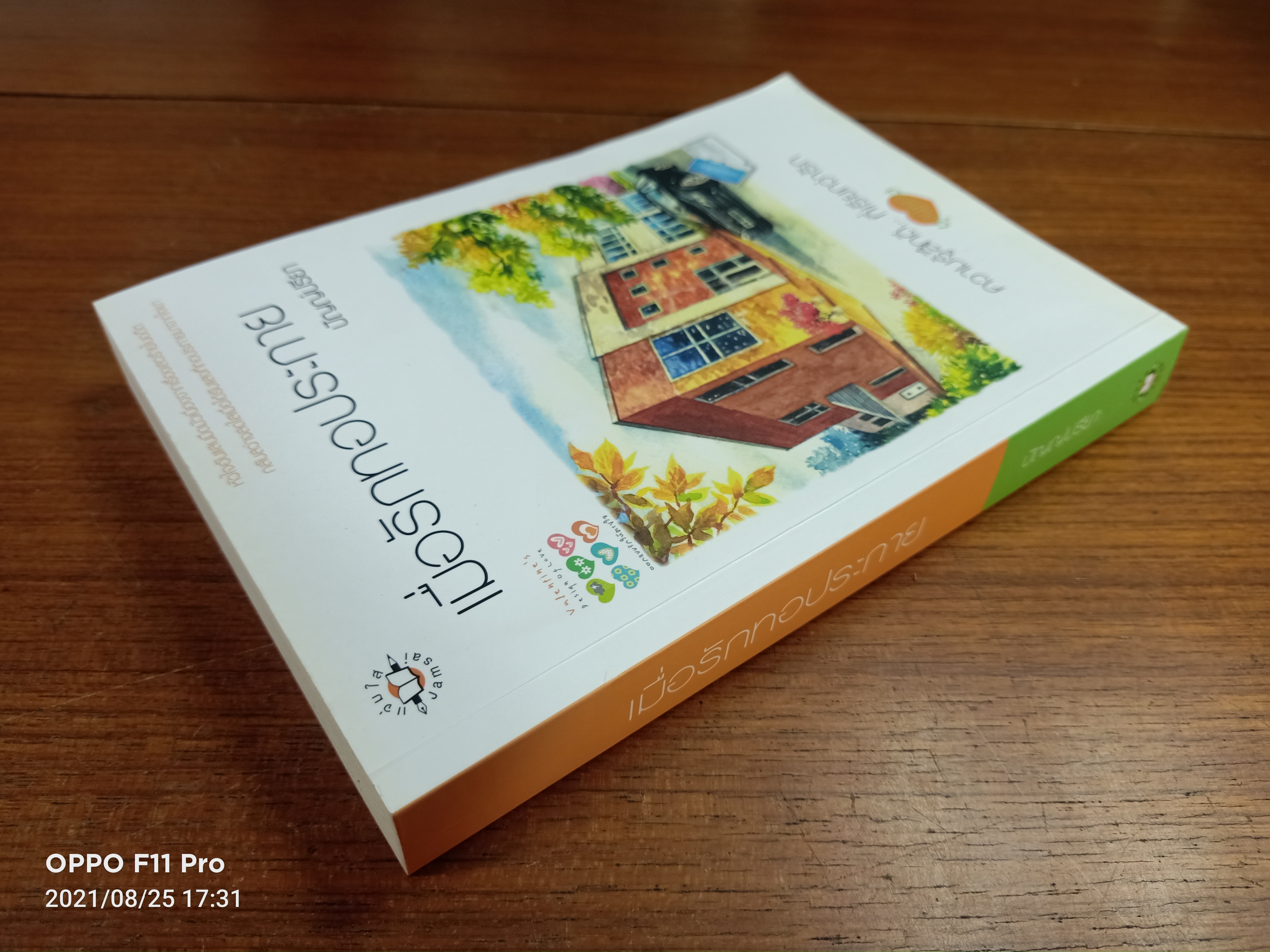 (ความรู้สึกดี..ที่เรียกว่ารัก ชุดพิเศษ) เมื่อรักทอประกาย / ปัณณ์ปรียา