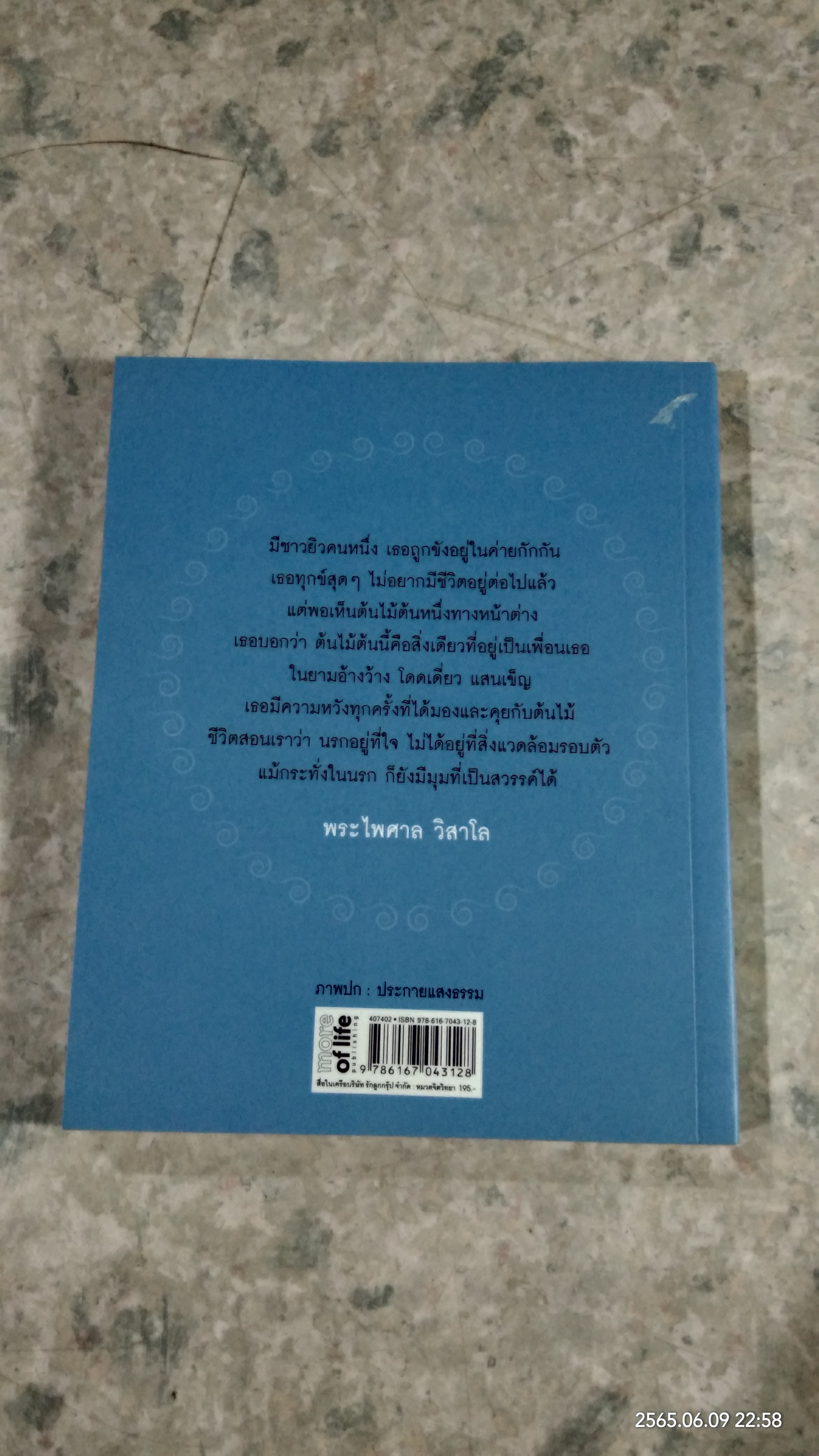 อยู่อย่างเหนือทุกข์ / พระไพศาล วิสาโล