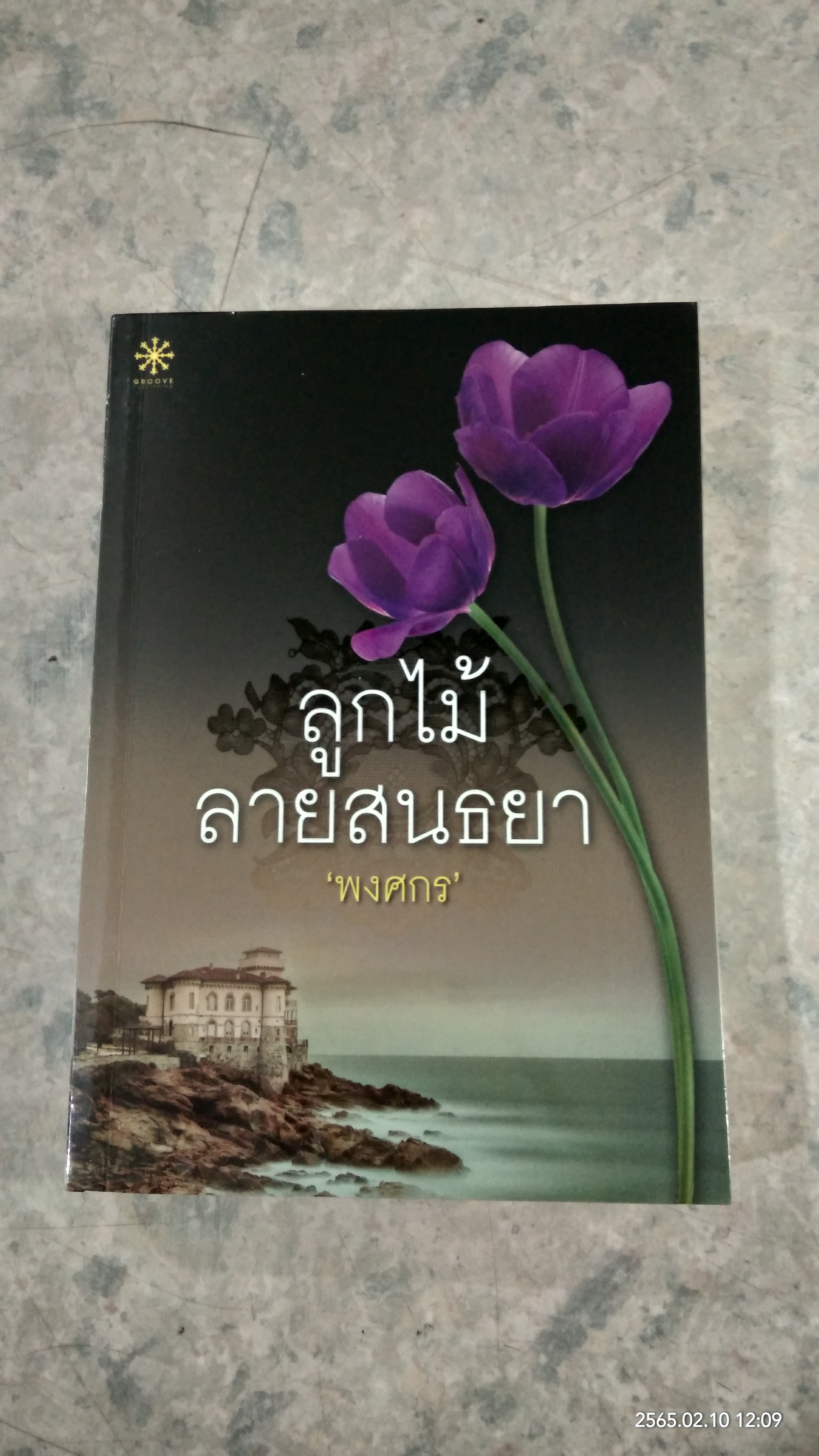 ลูกไม้ลายสนธยา / พงศกร