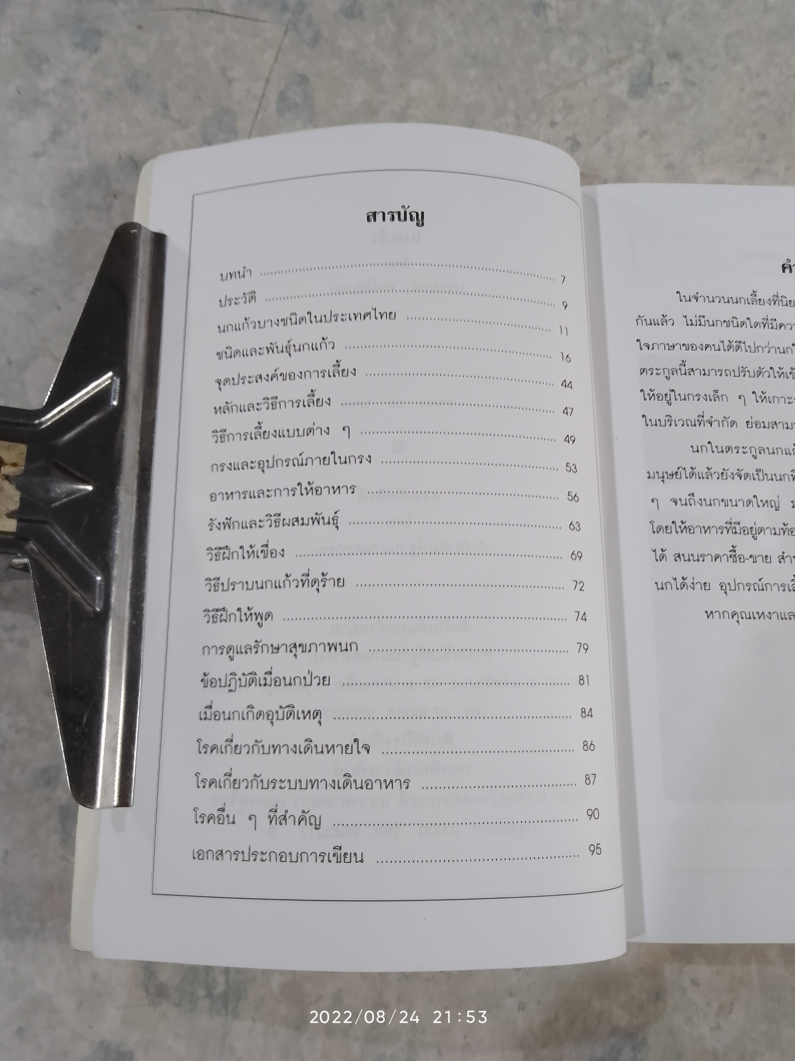 นกแก้ว / ประยุทธ พาณิชนอก