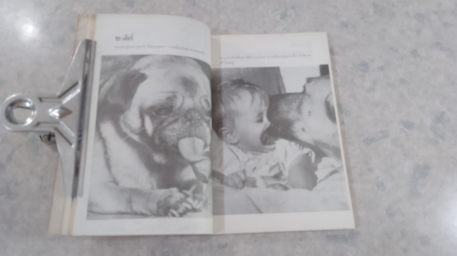 ห้วร่อจนตกเก้าอี้ / ฟิลิป บี คุนฮาดต์