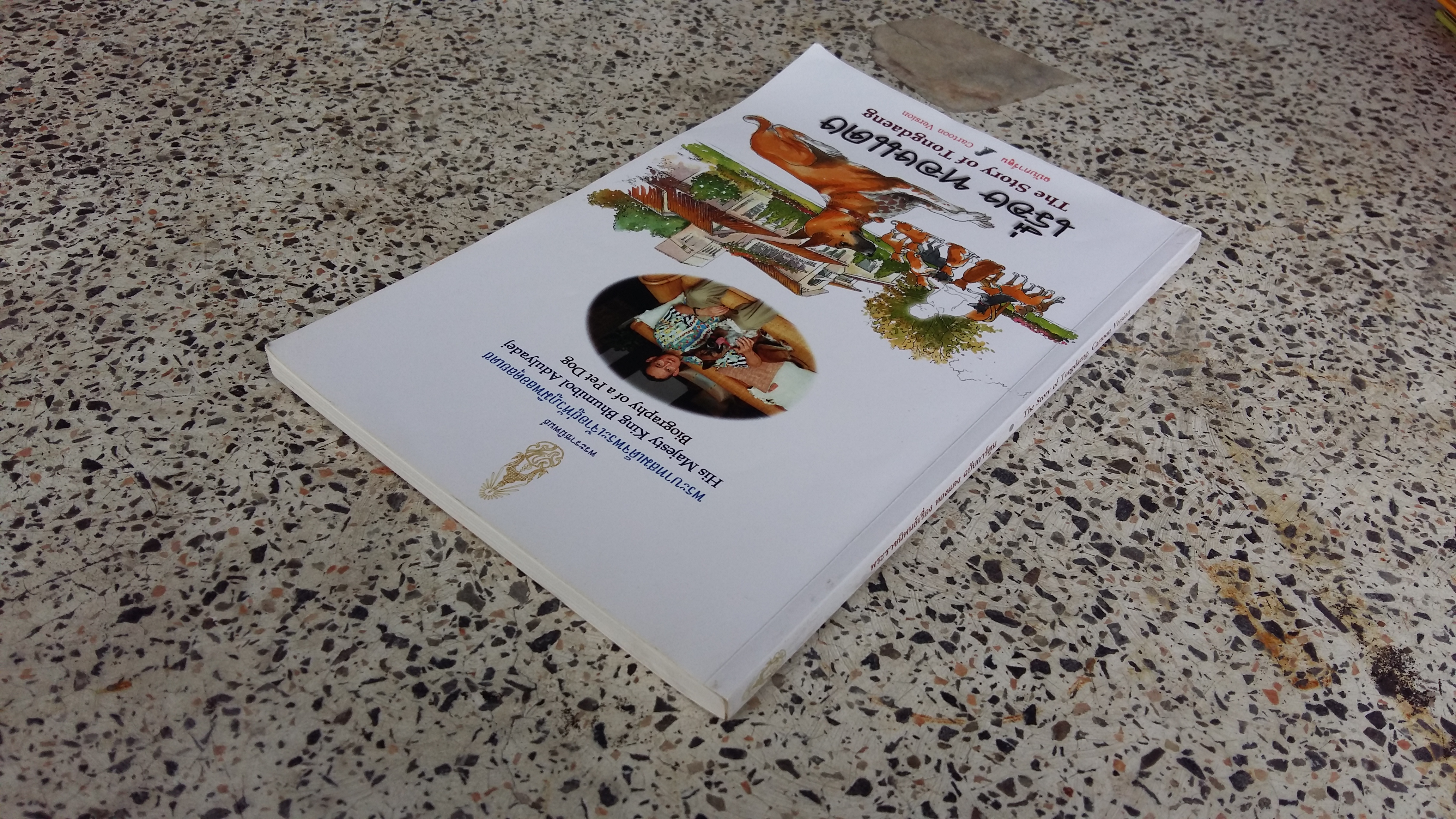 พระราชนิพนธ์เรื่อง ทองแดง ฉบับการ์ตูน