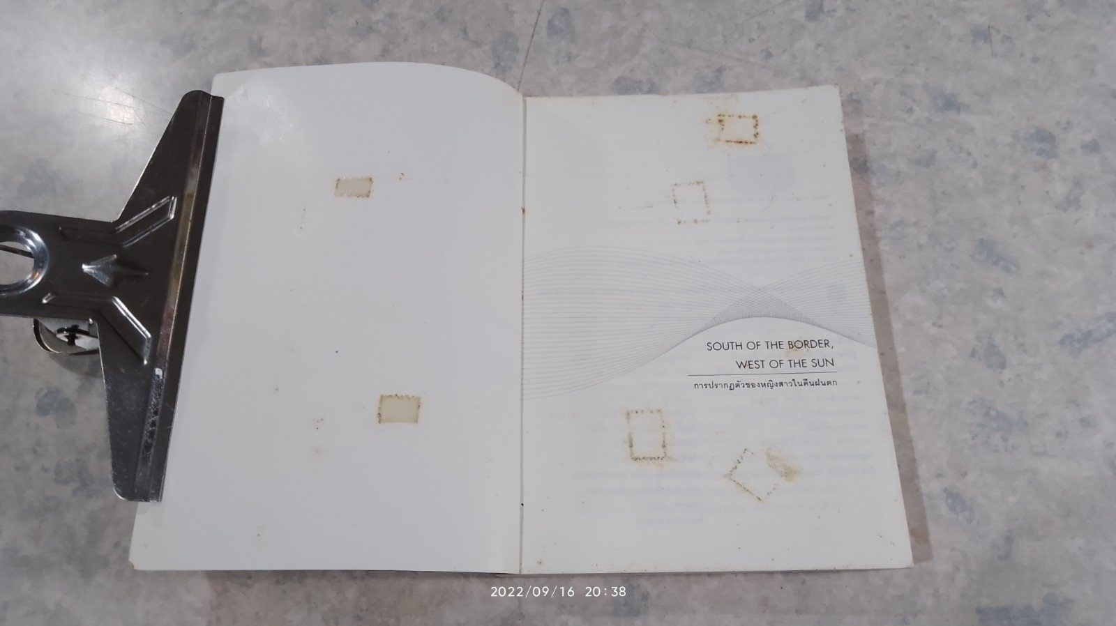 การปรากฏตัวของหญิงสาวในคืนฝนตก / ฮารูกิ มูราคามิ