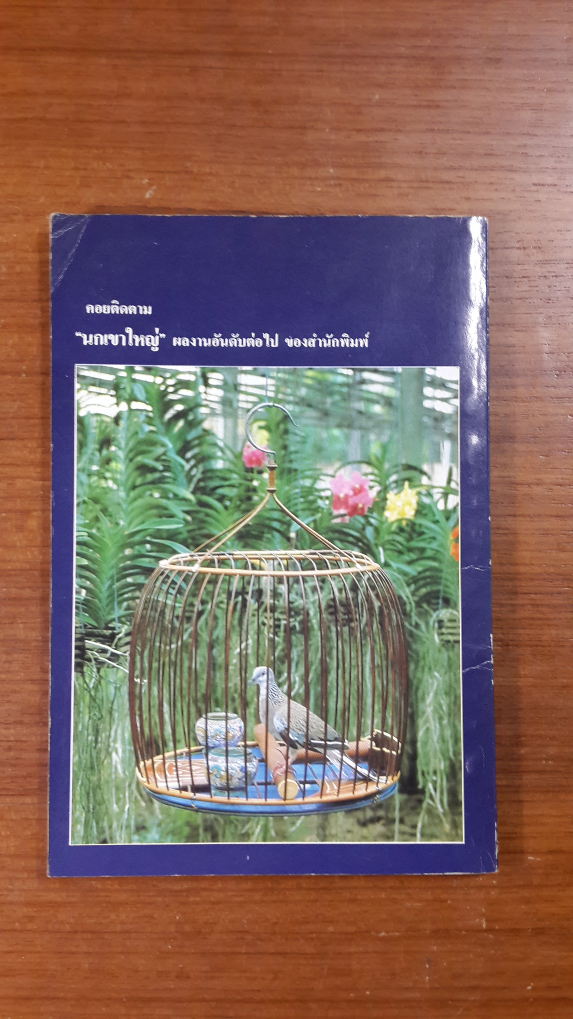 นกเขาชวา / ผศ.มัลลิกา คณานุรักษ์