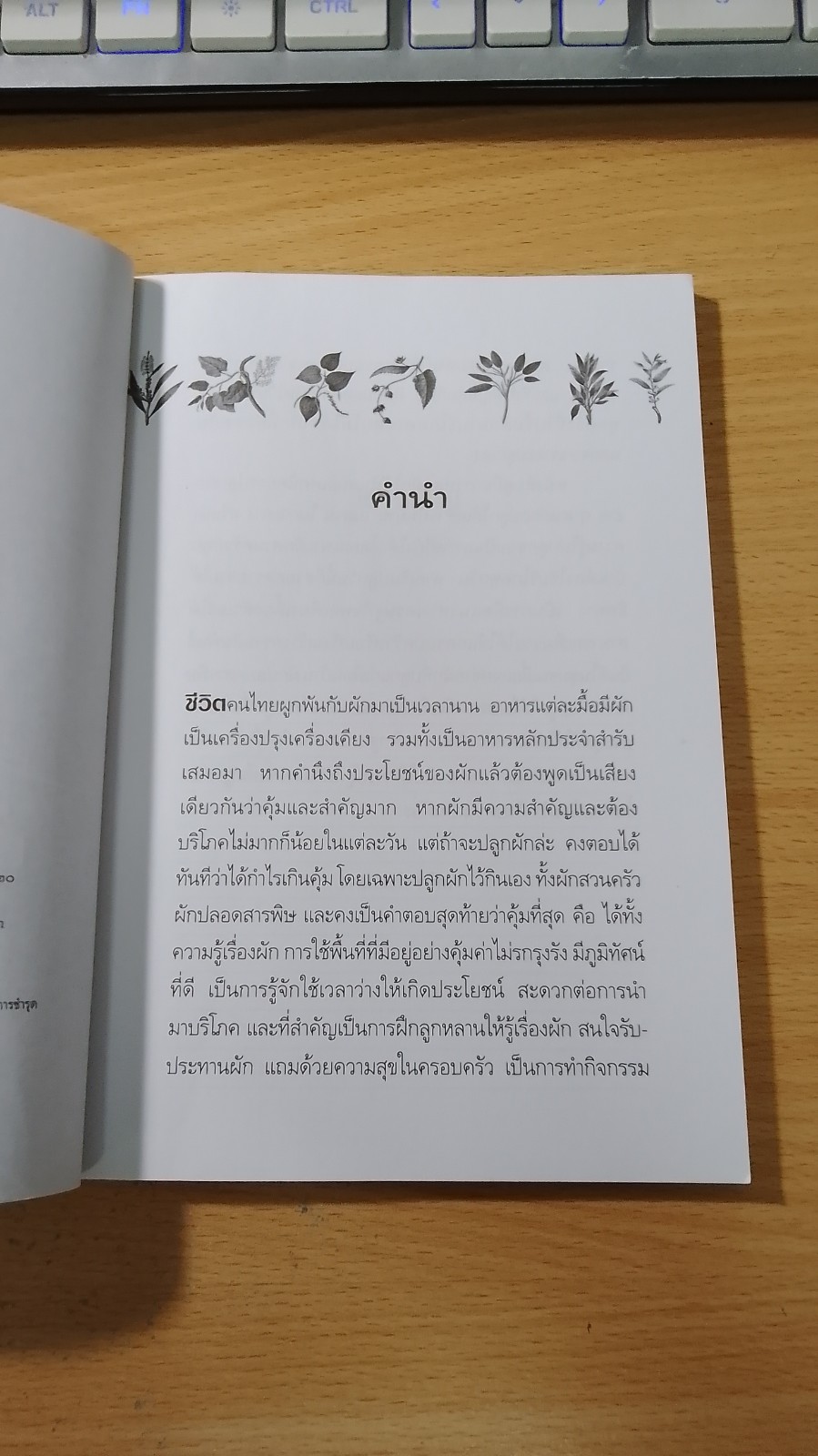 เทคนิคการปลูกผักสวนครัว ผักปลอดสารพิษ เล่ม ๒ / เกริก ท่วมกลาง