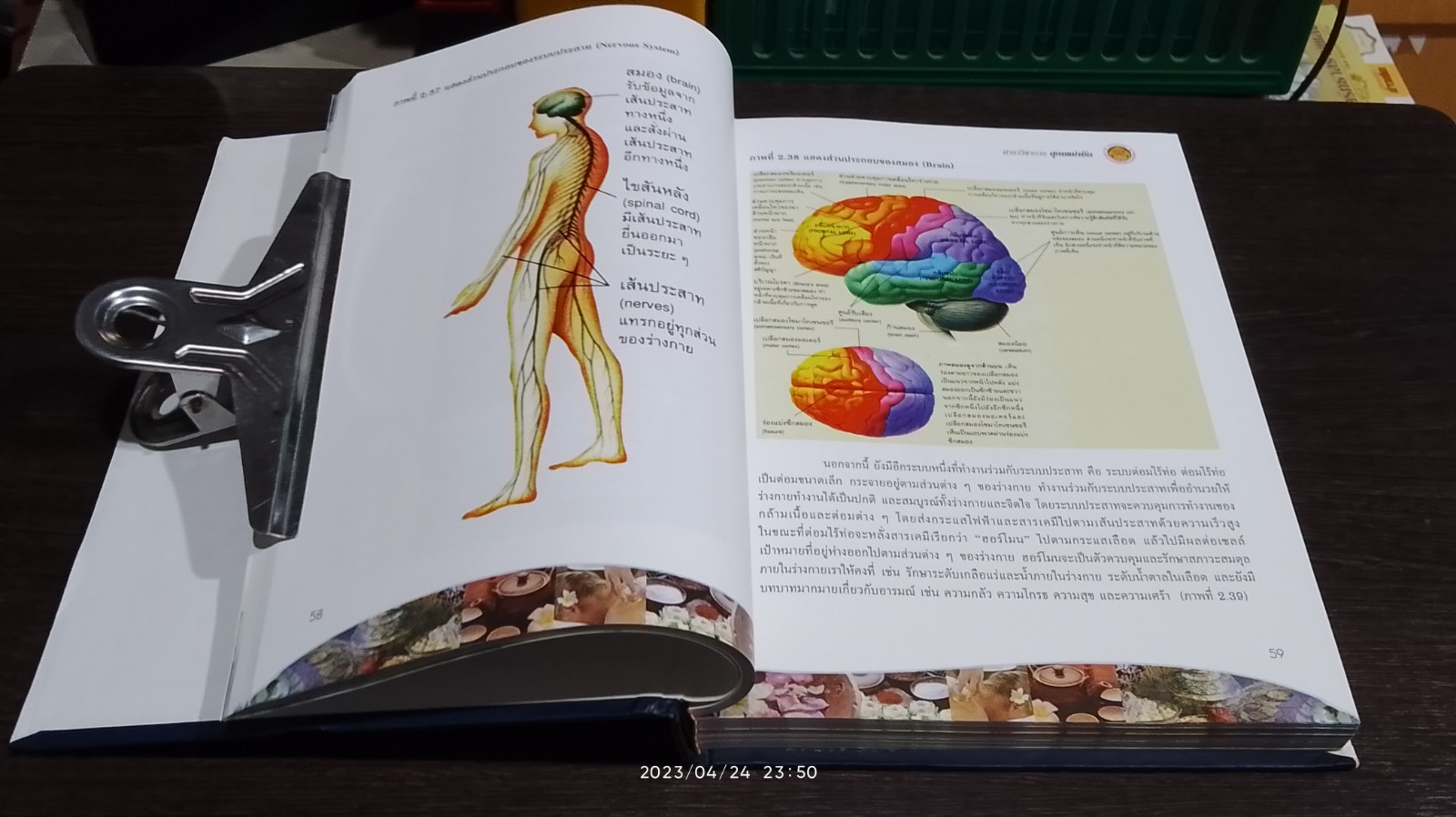 ตำราวิชาการสุคนธบำบัด กองการแพทย์ทางเลือก เล่ม ๑ / 2550