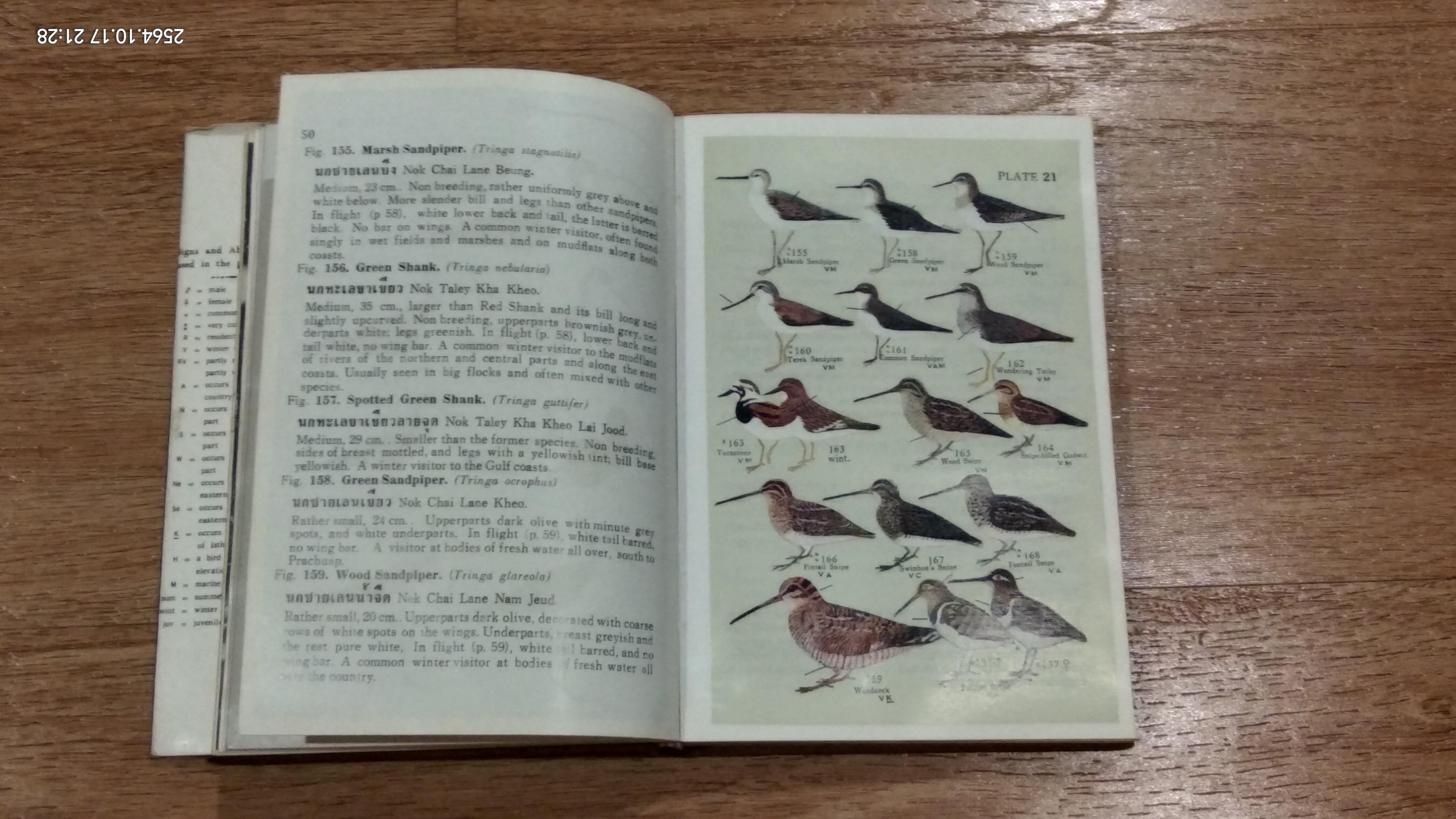 BIRD GUIDE OF THEILAND / DR. BOONSONG LEKAGUL (มีตราห้องสมุด)